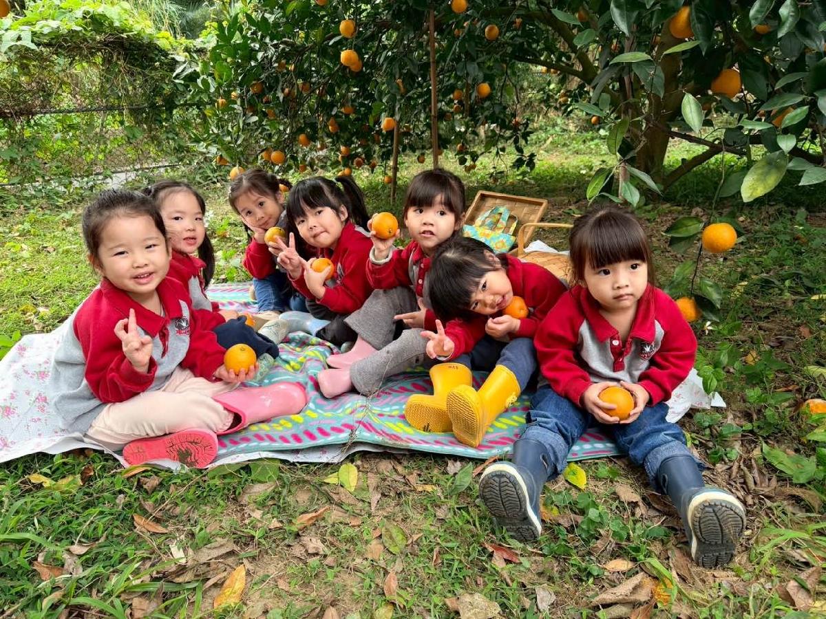 d83f6462-e31d-45a1-8d10-f4d98cab4c83