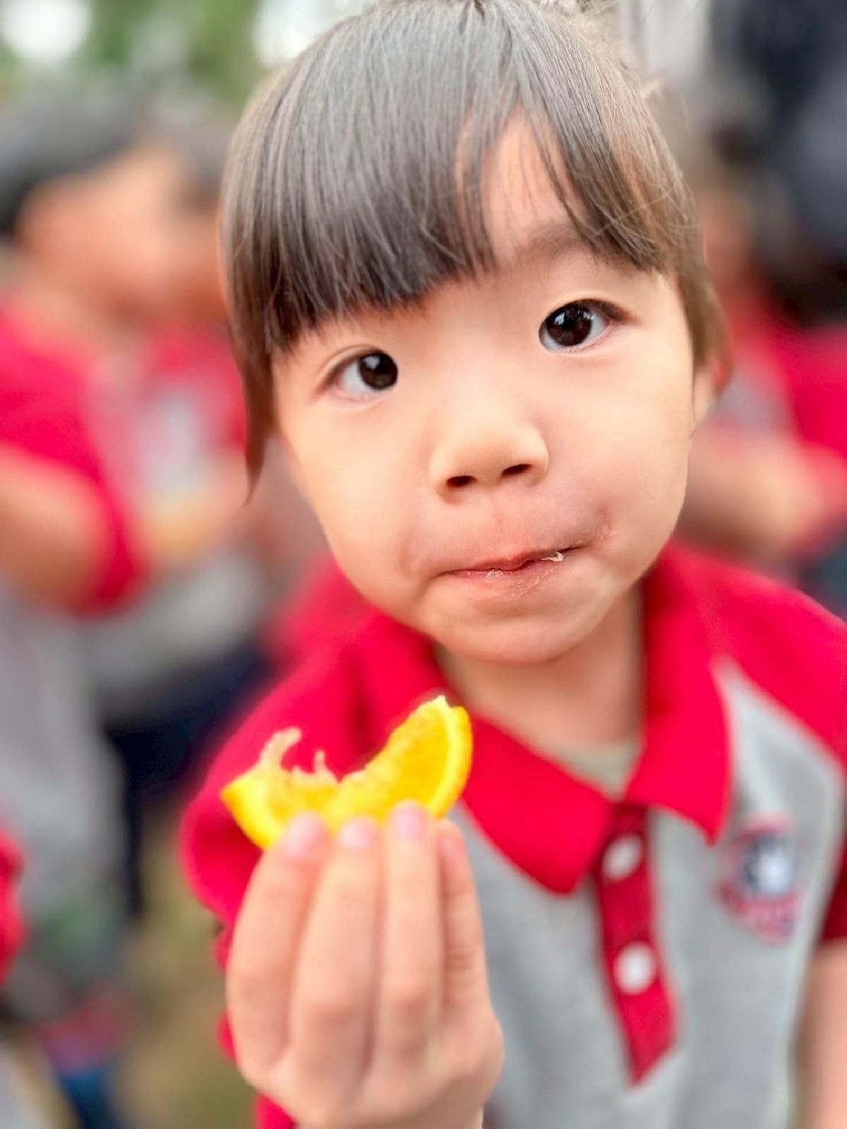 2c91f141-0dd6-4e0c-b55b-41be544607fa