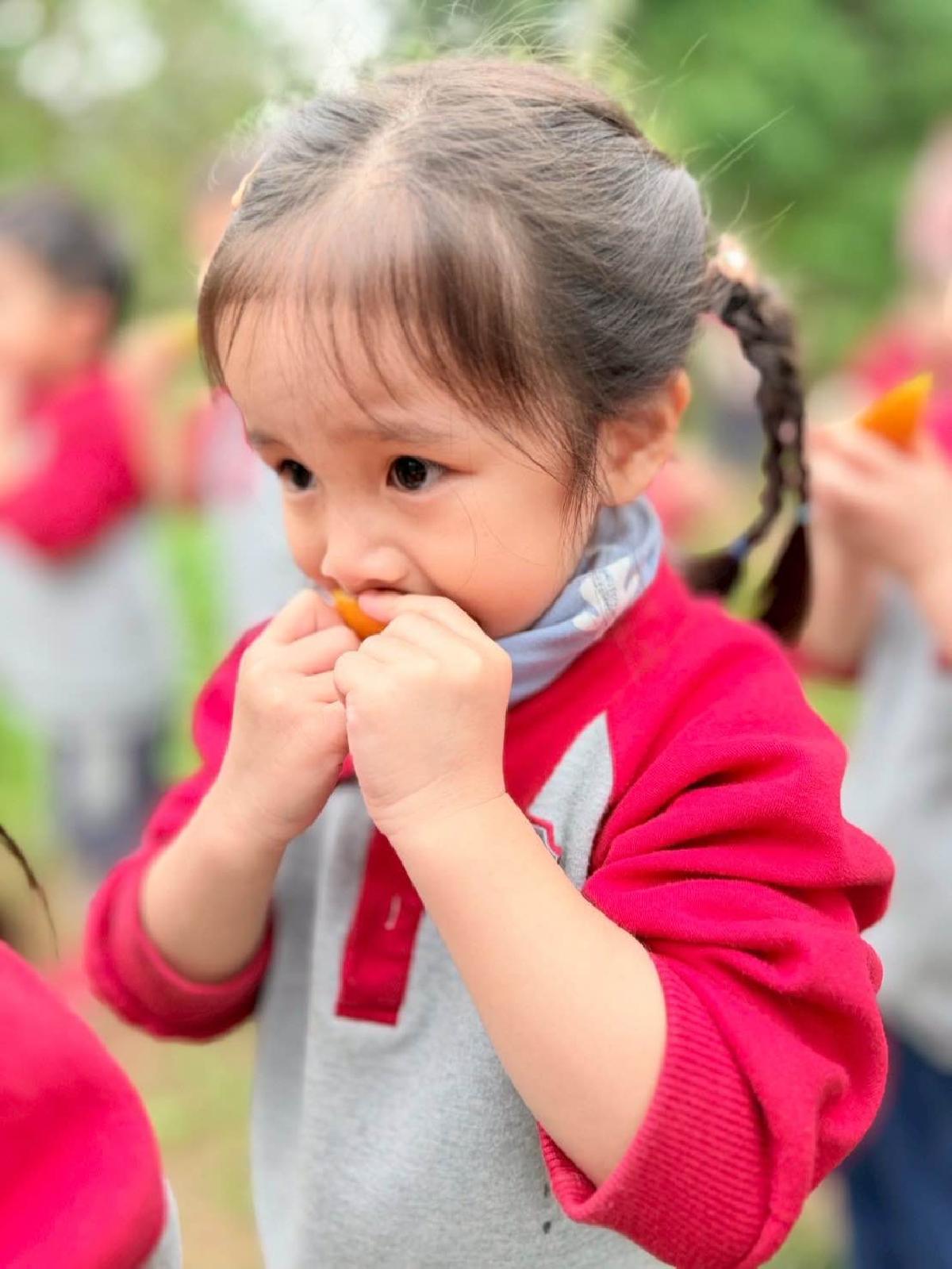 0ea6c92d-f241-49d4-8641-ba01742e68c4