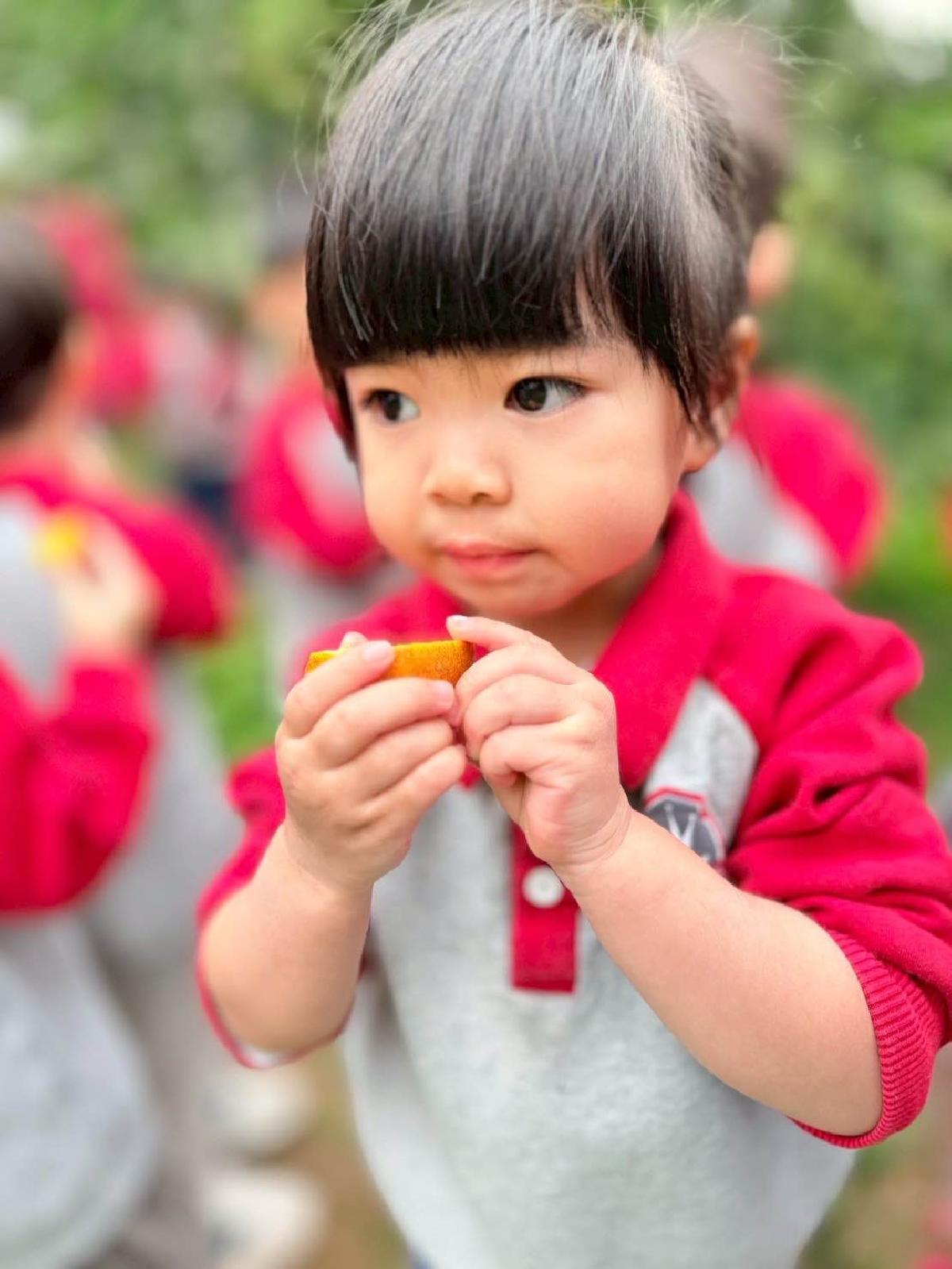 f45941be-b006-47f4-bb7f-6cc734d8cf18