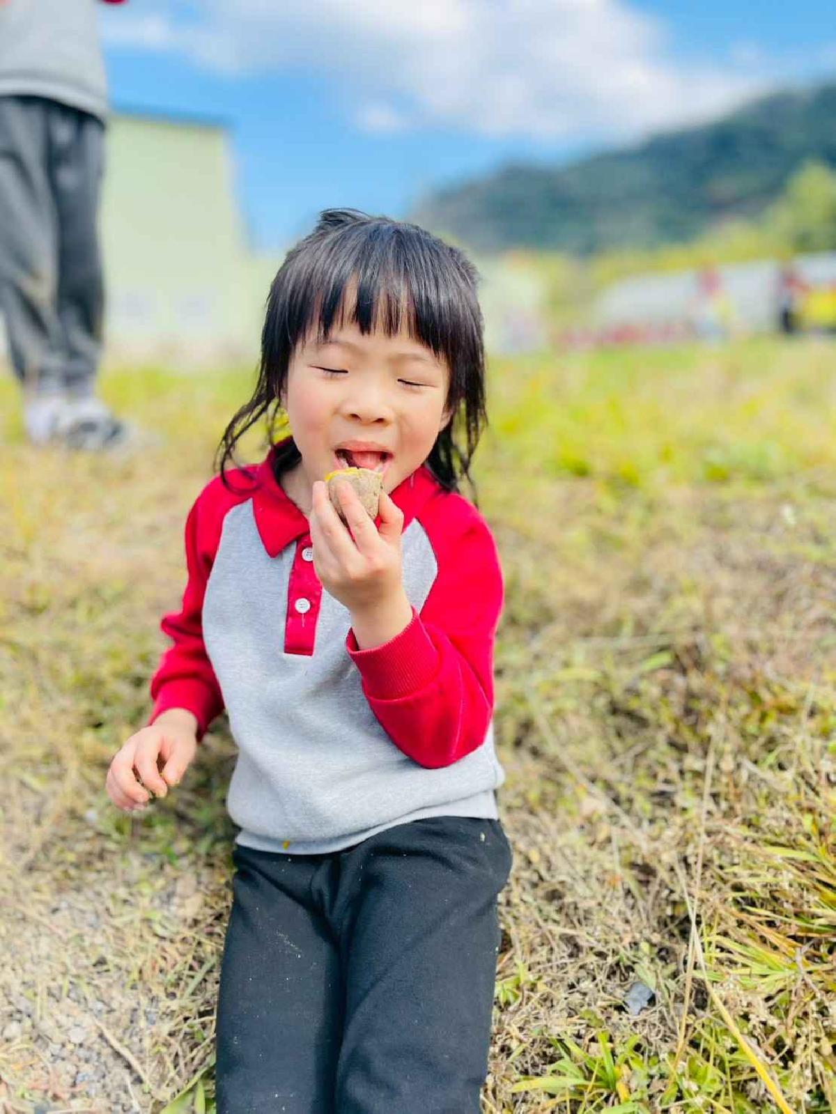 line_album_2026129 _1_260129_31