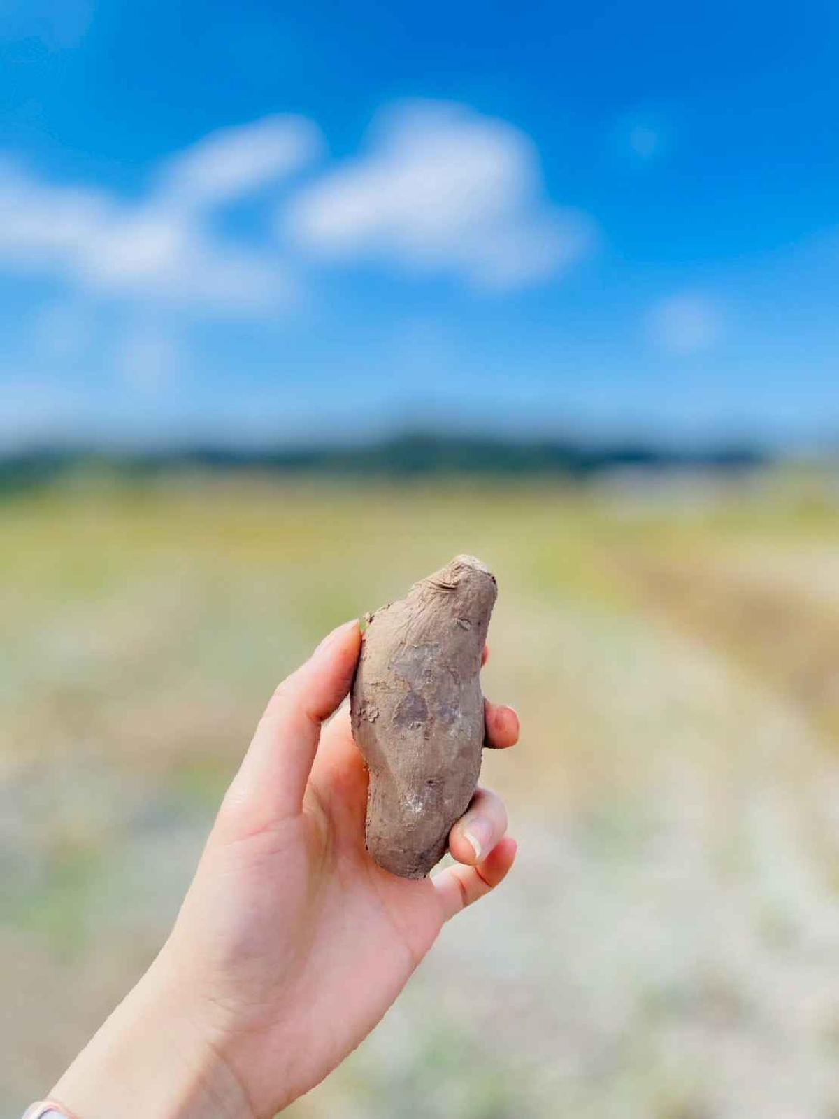 line_album_2026129 _1_260129_35