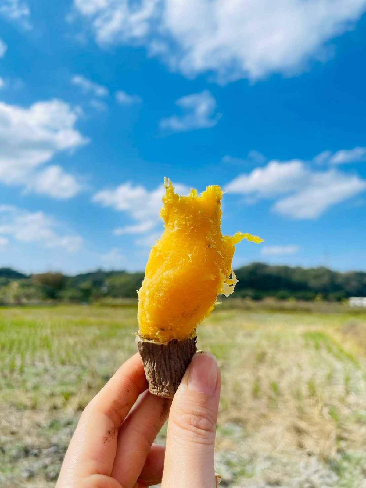 line_album_2026129 _1_260129_80