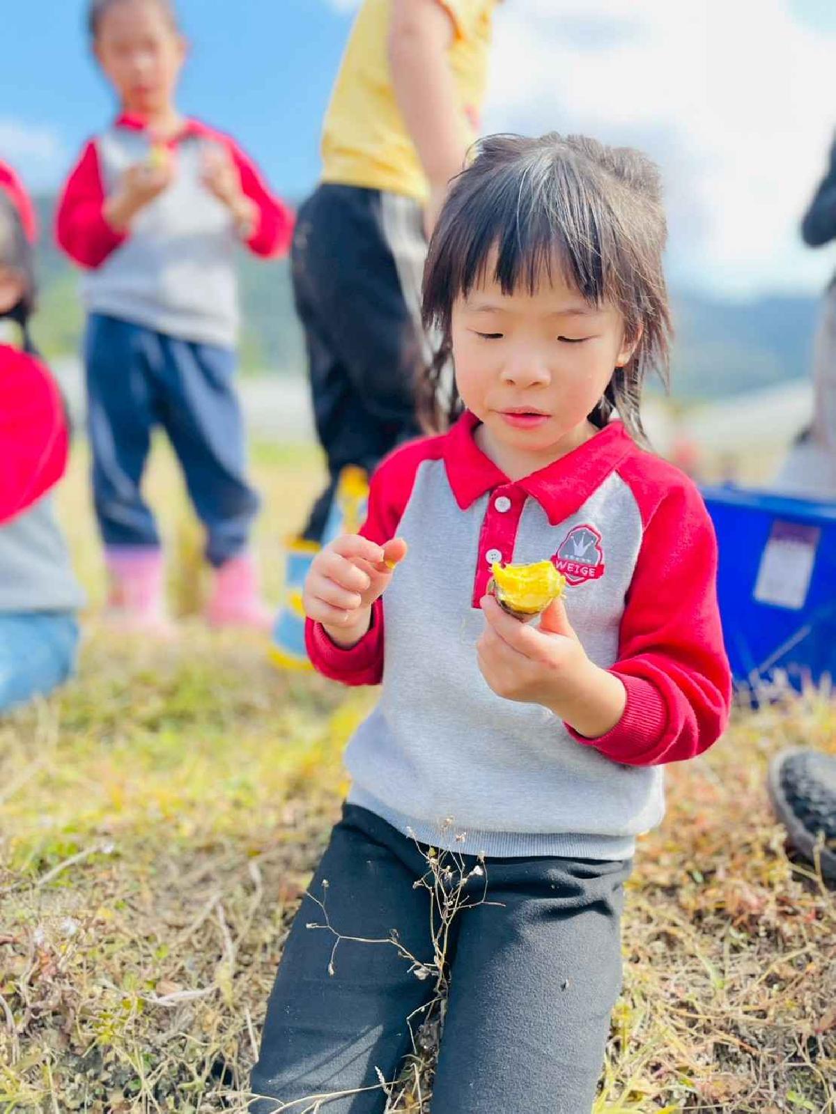 line_album_2026129 _1_260129_85