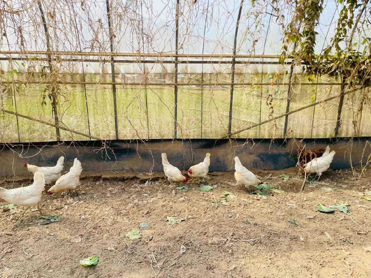 line_album_2026129 _1_260129_131