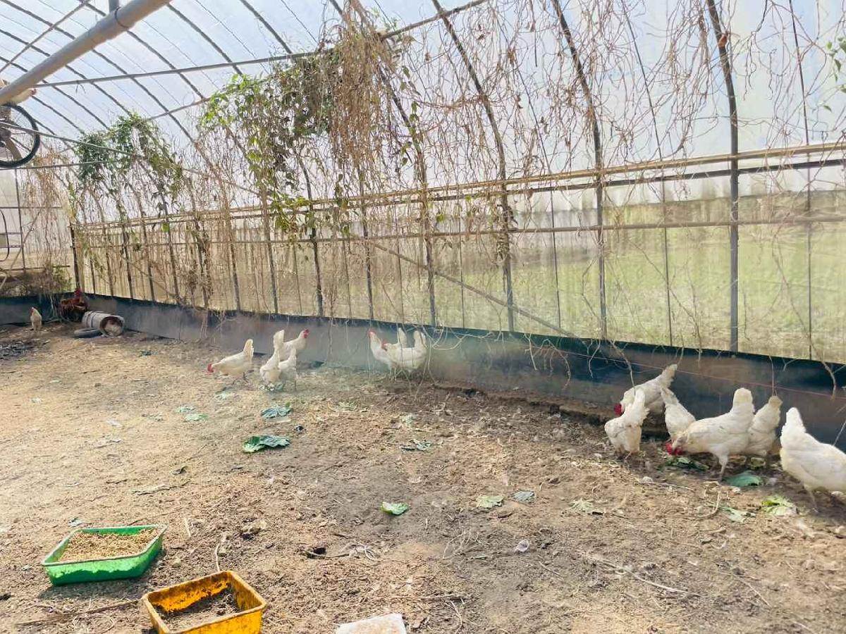 line_album_2026129 _1_260129_133