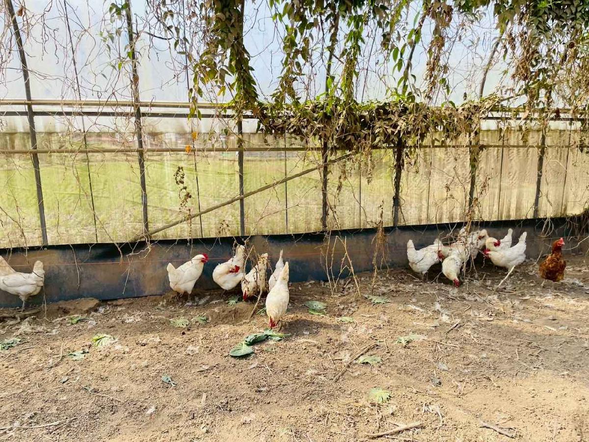 line_album_2026129 _1_260129_136