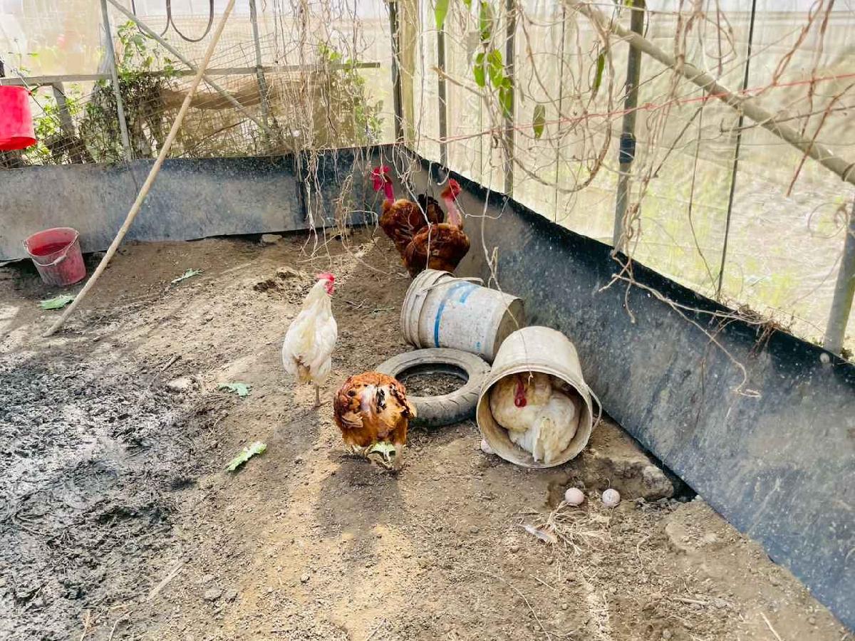 line_album_2026129 _1_260129_141