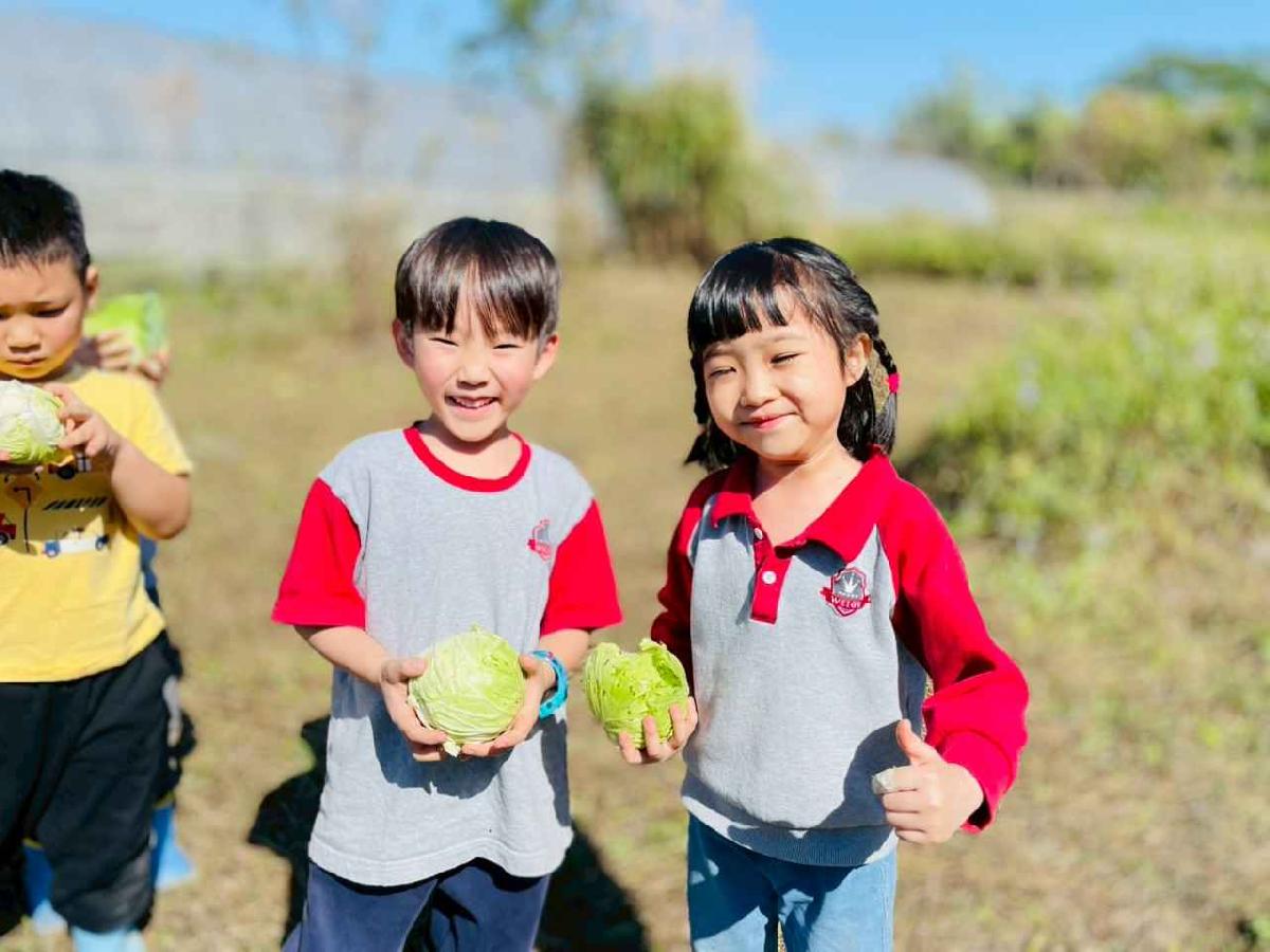 line_album_2026129 _1_260129_150