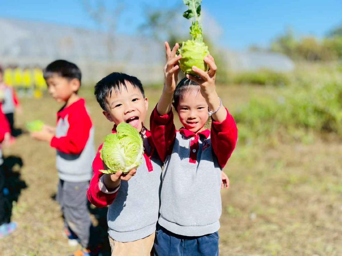 line_album_2026129 _1_260129_153