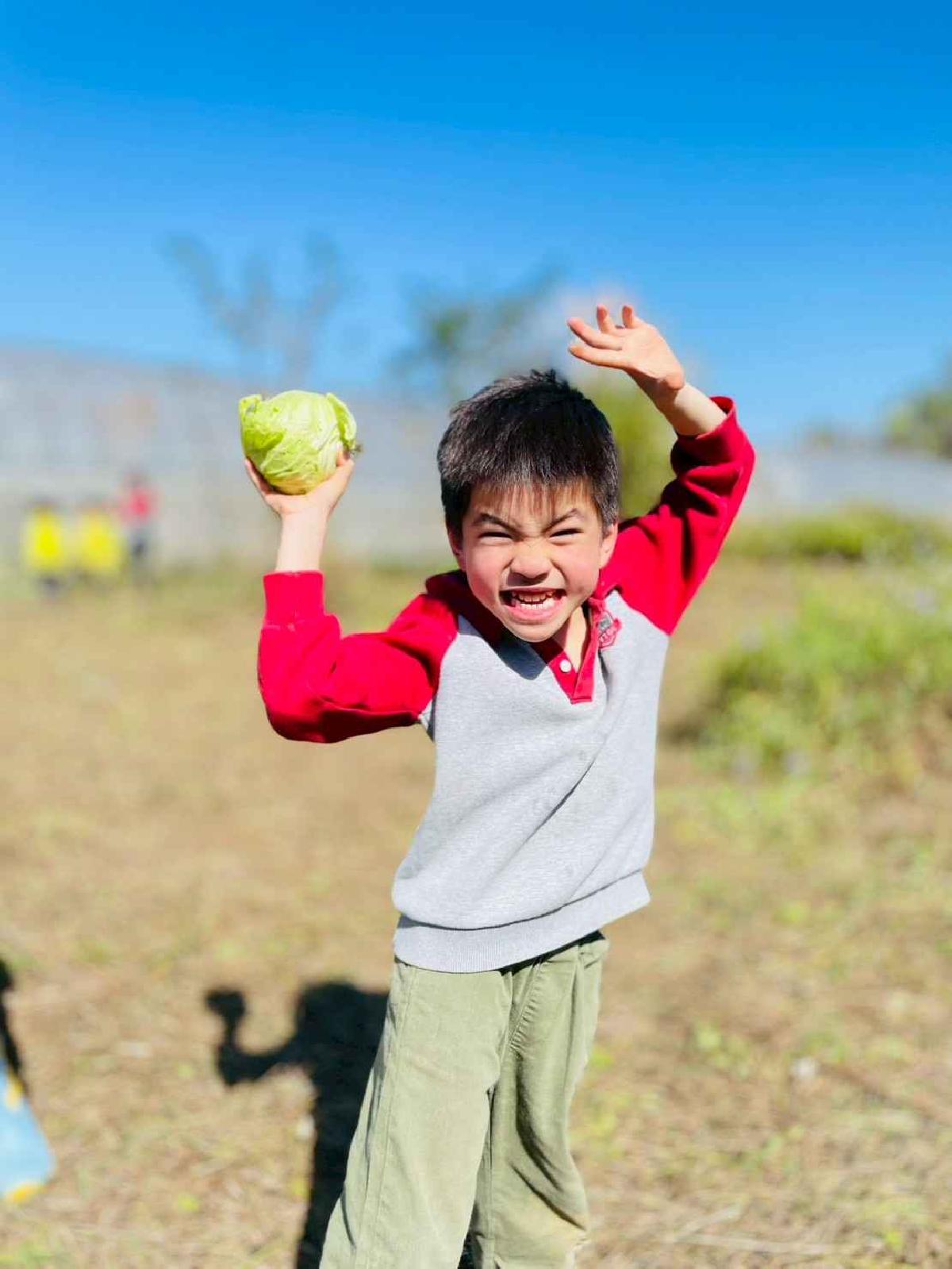 line_album_2026129 _1_260129_159