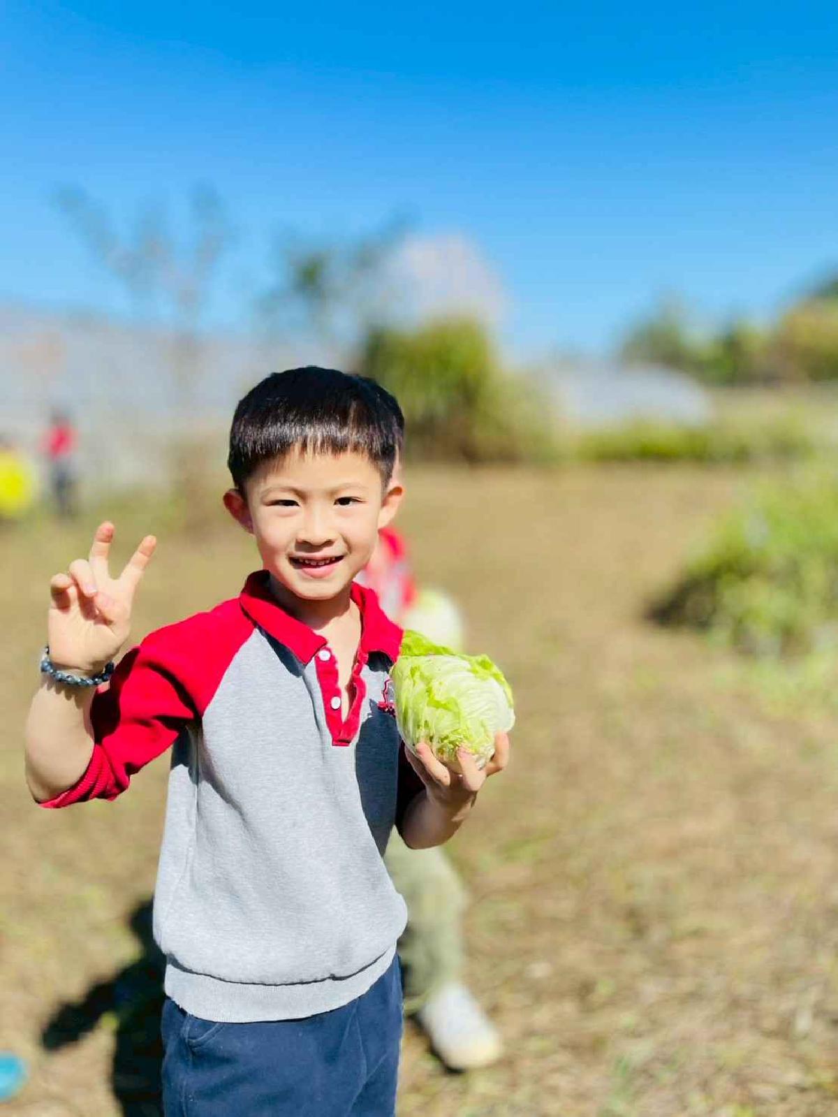 line_album_2026129 _1_260129_161