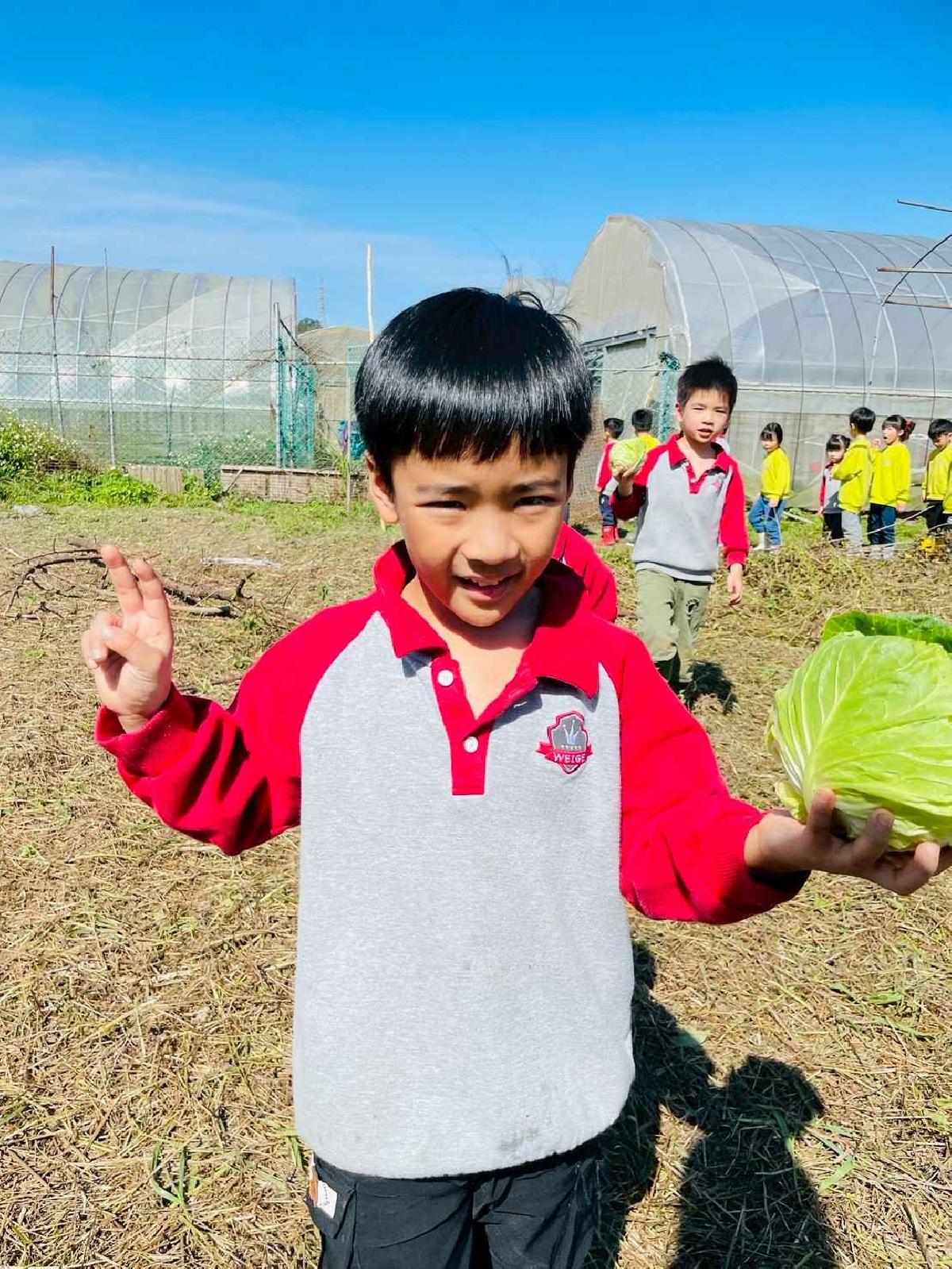 line_album_2026129 _1_260129_164