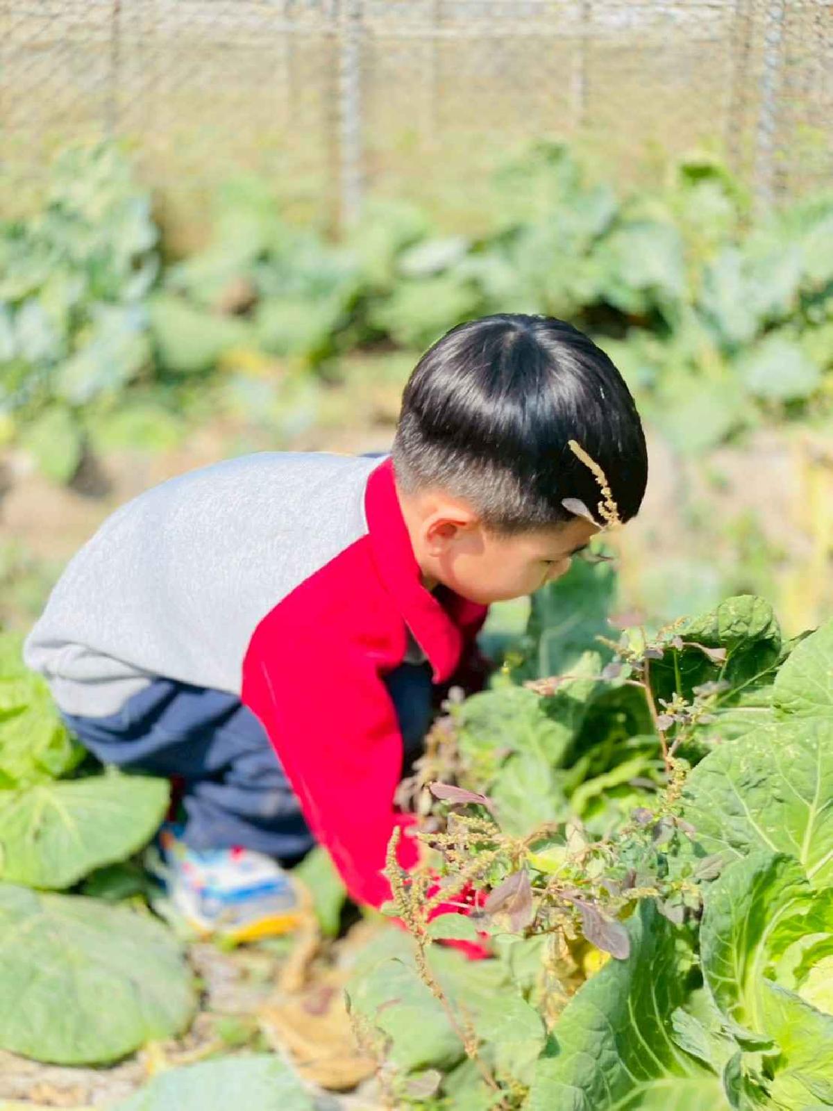 line_album_2026129 _1_260129_171