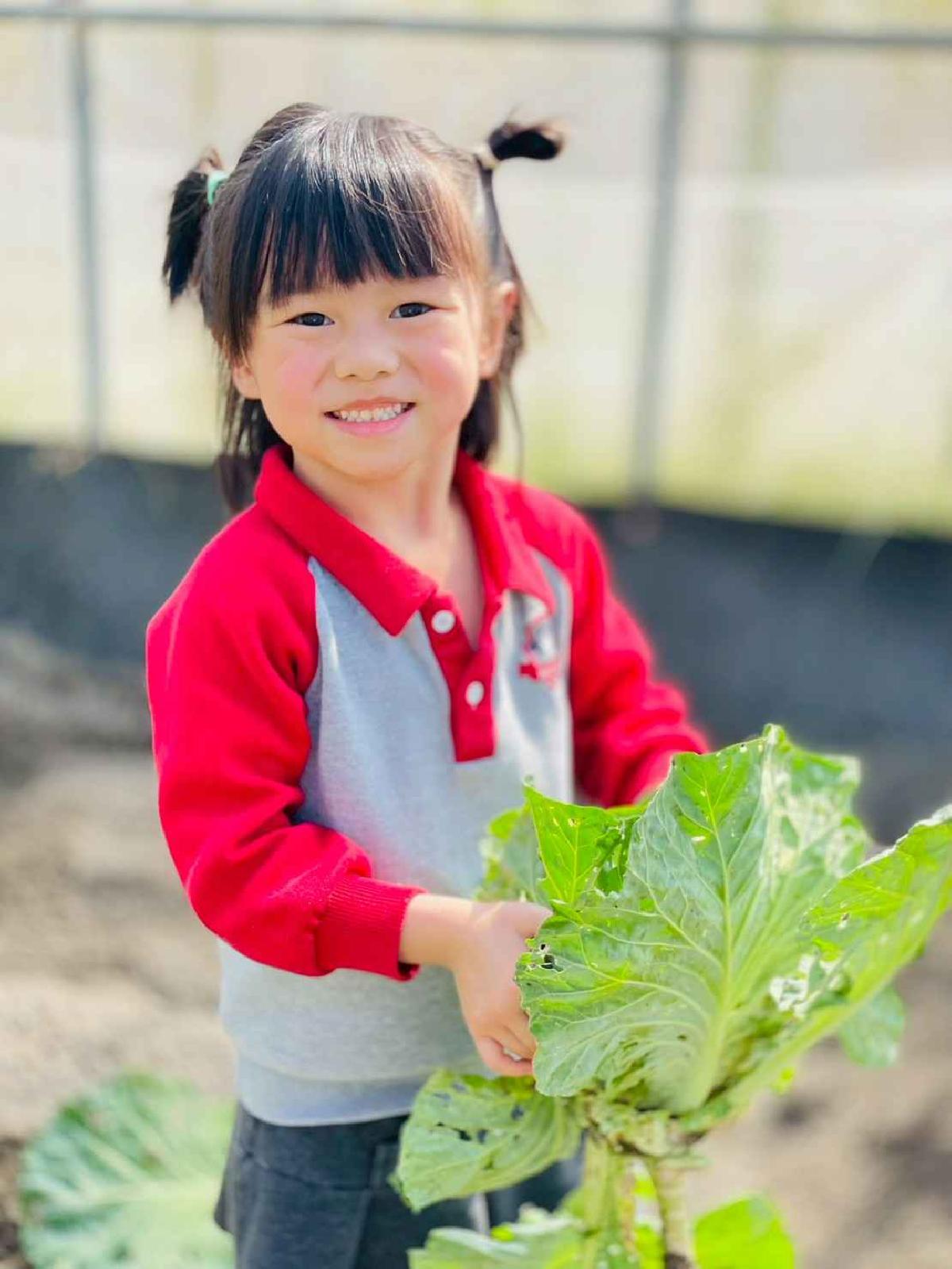 line_album_2026129 _1_260129_176