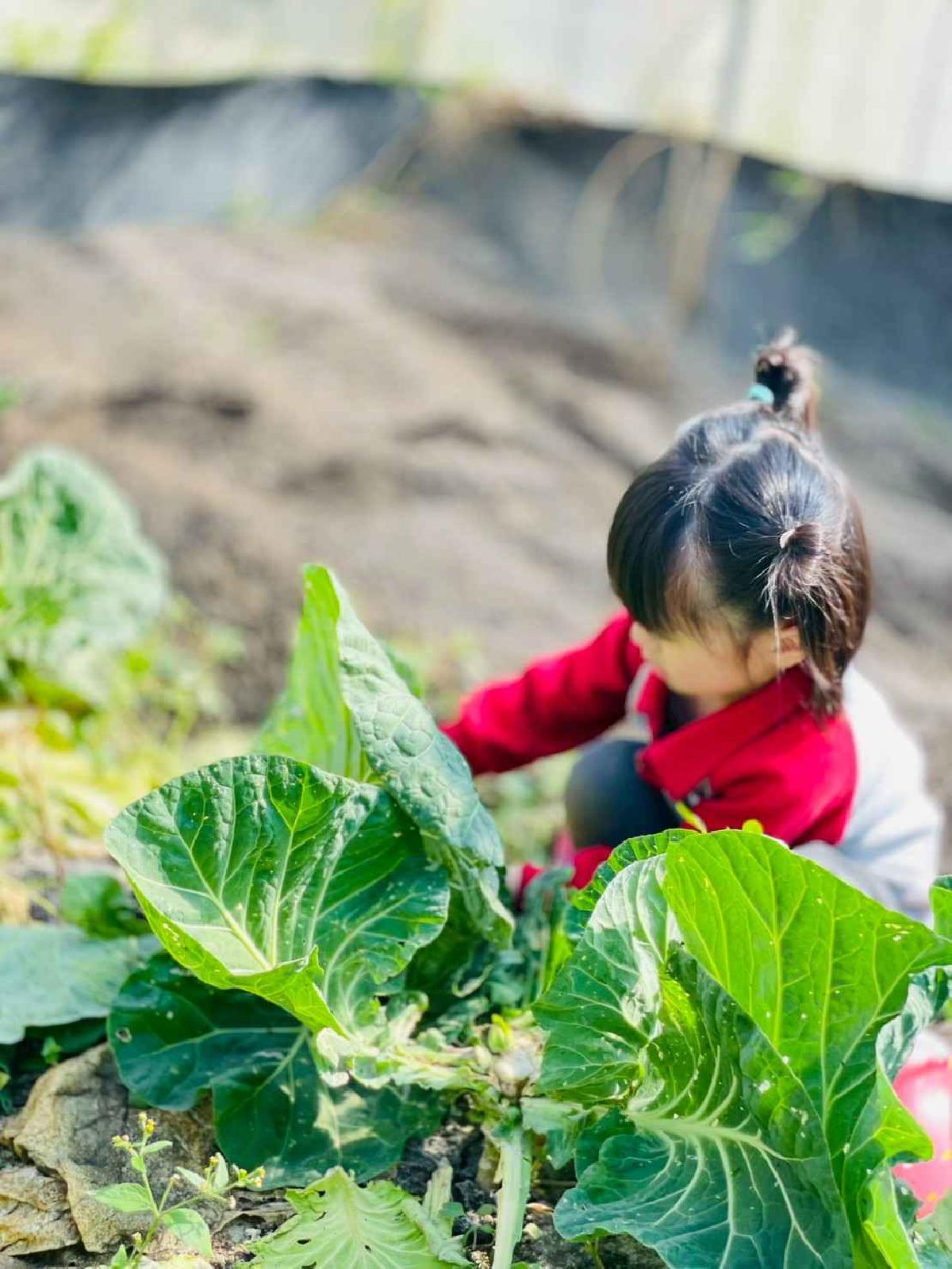 line_album_2026129 _1_260129_177