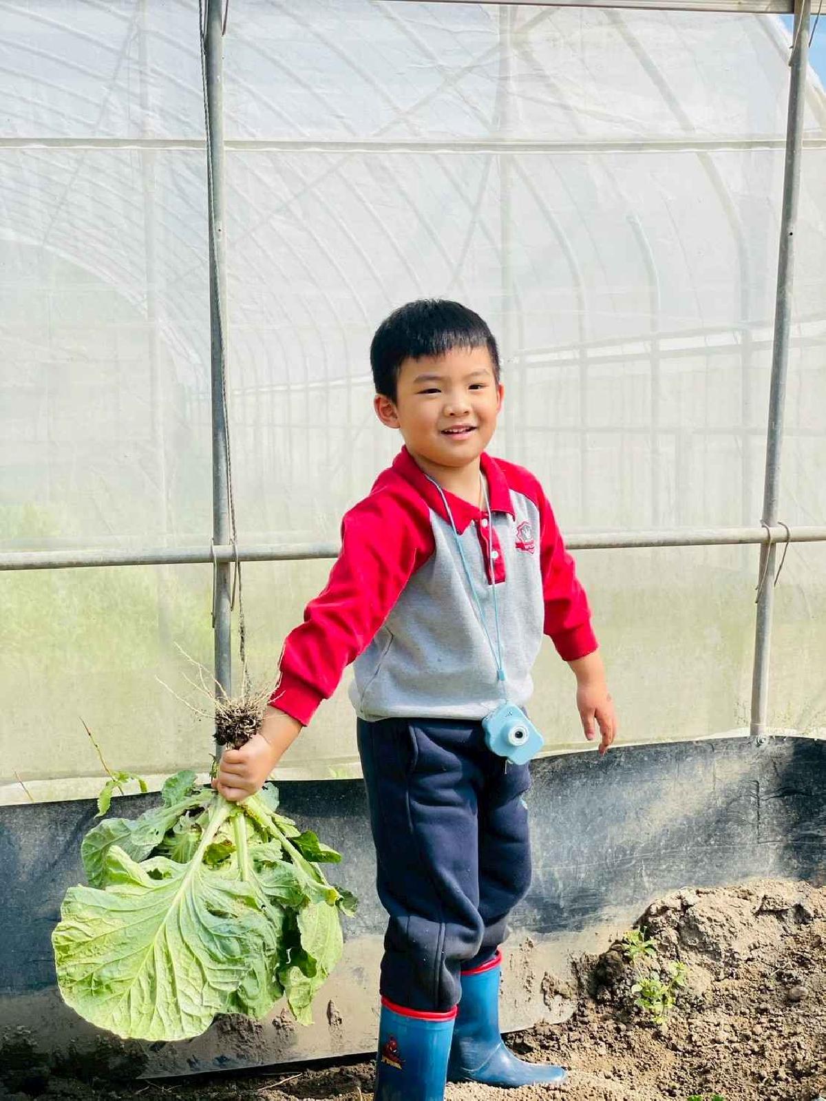 line_album_2026129 _1_260129_182