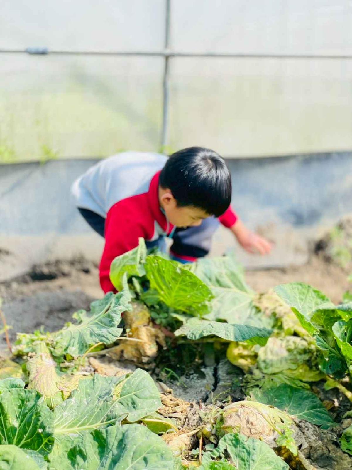 line_album_2026129 _1_260129_185