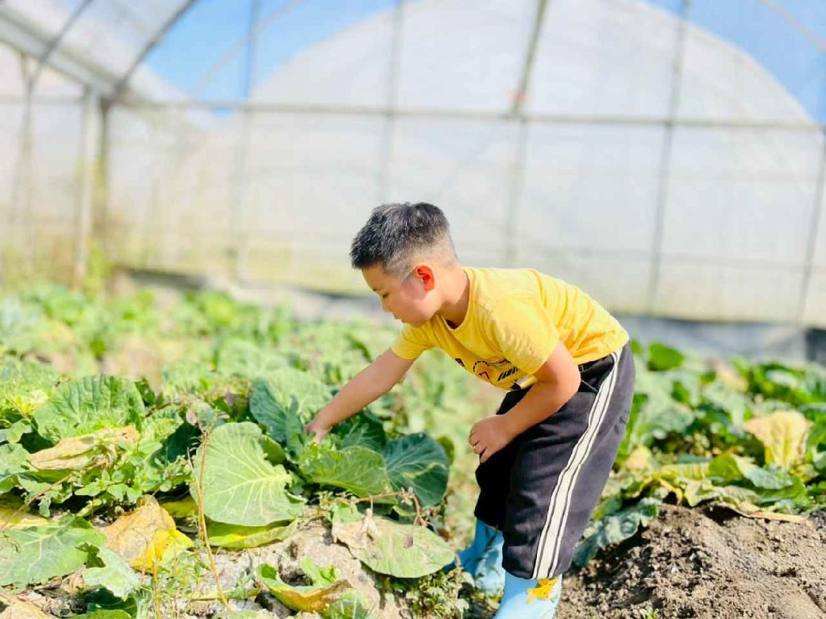 line_album_2026129 _1_260129_191