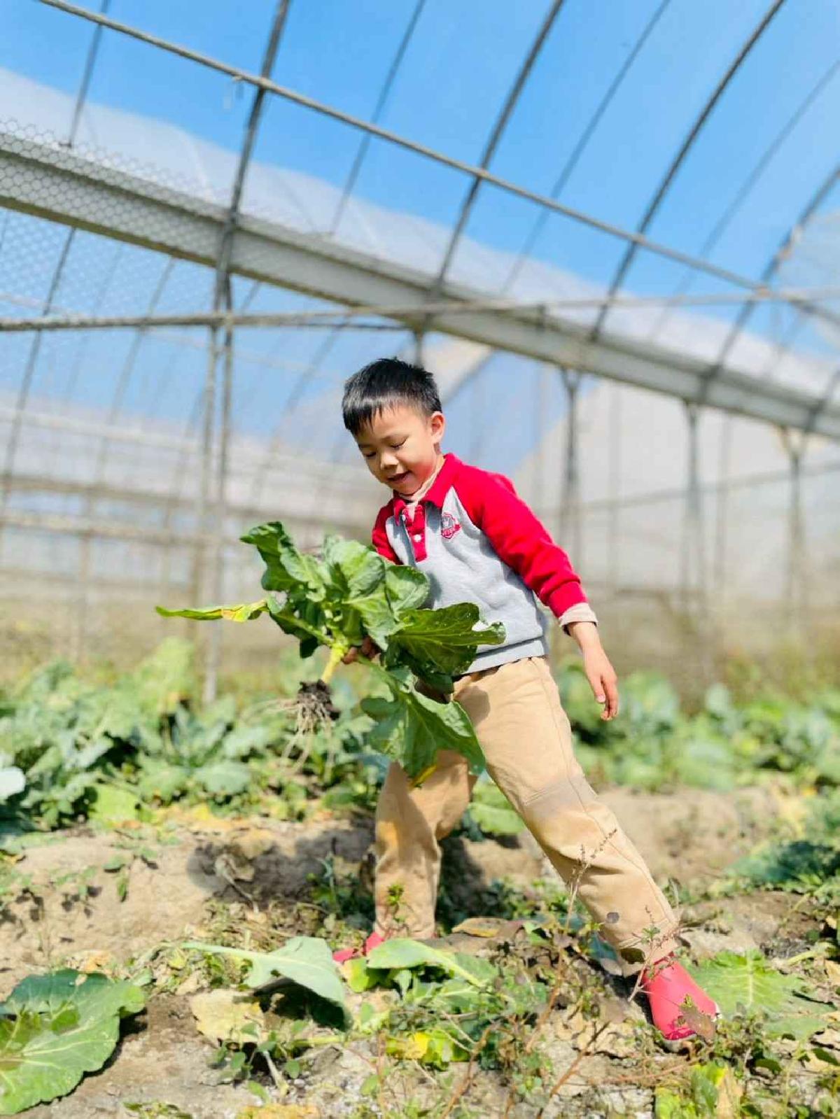 line_album_2026129 _1_260129_193