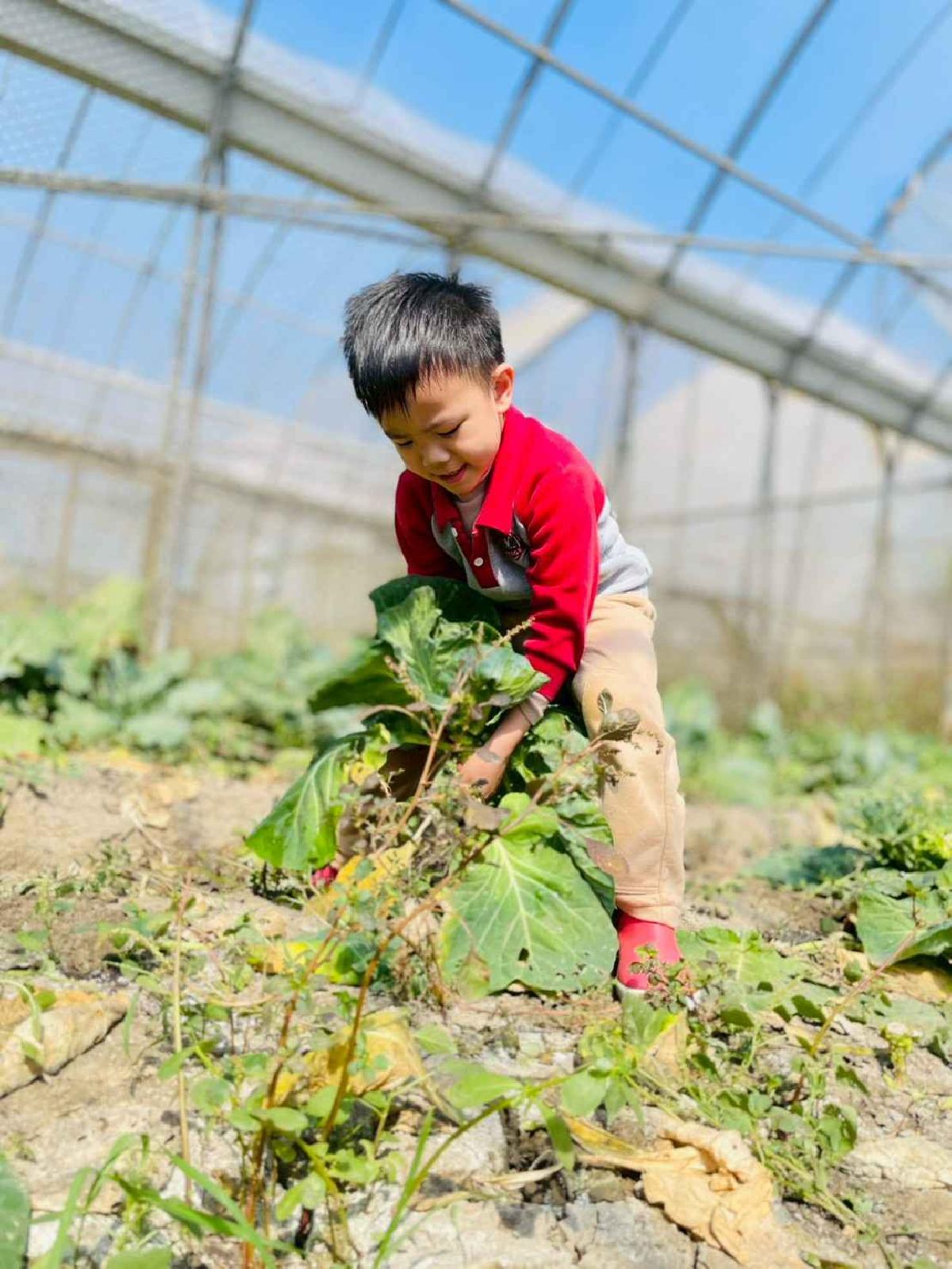 line_album_2026129 _1_260129_196