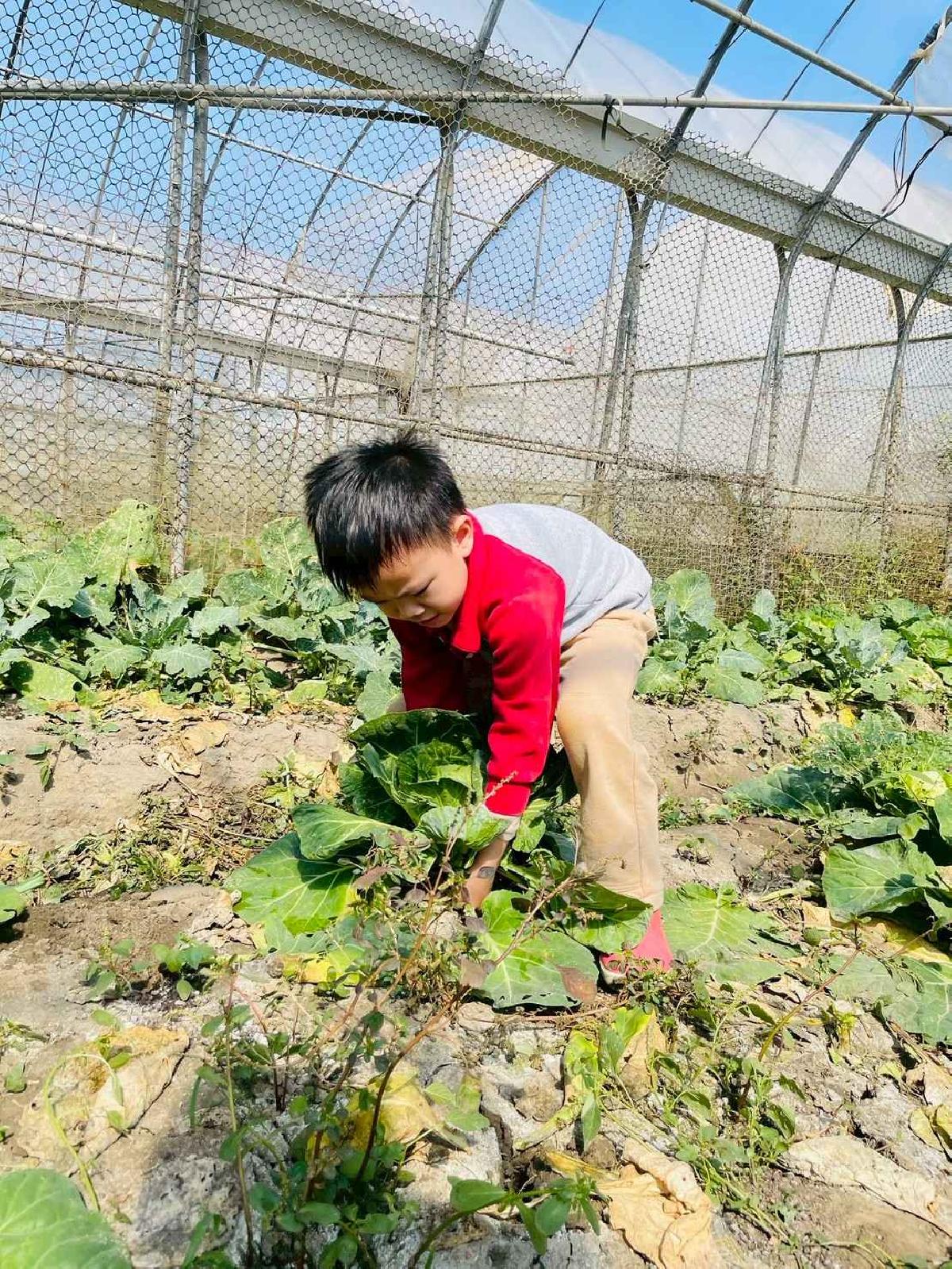 line_album_2026129 _1_260129_197