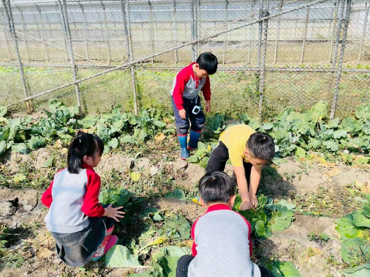 line_album_2026129 _1_260129_200