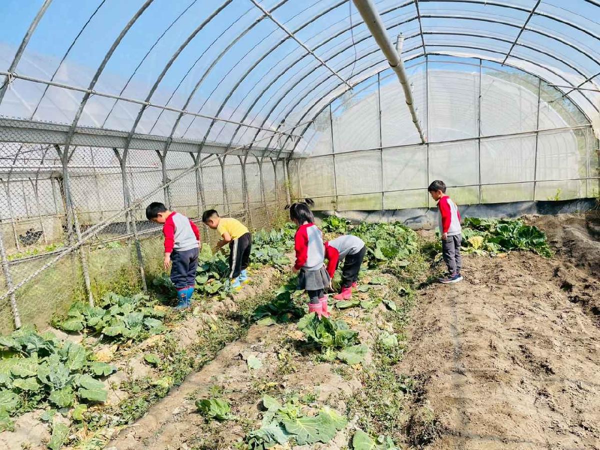 line_album_2026129 _1_260129_201