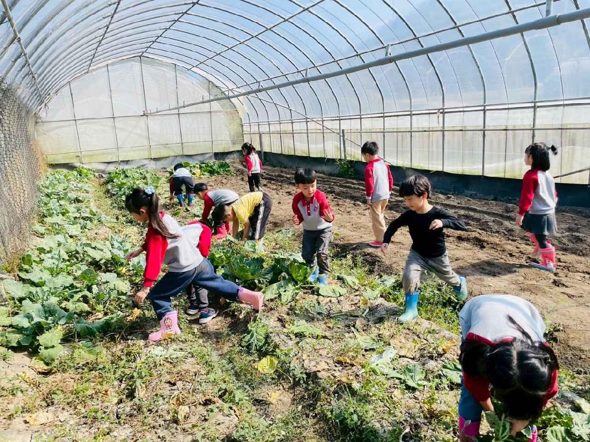 line_album_2026129 _1_260129_206