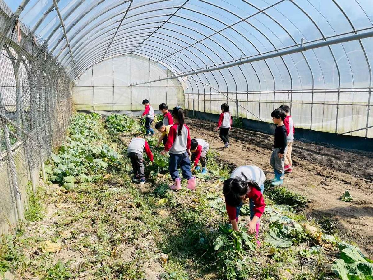 line_album_2026129 _1_260129_207