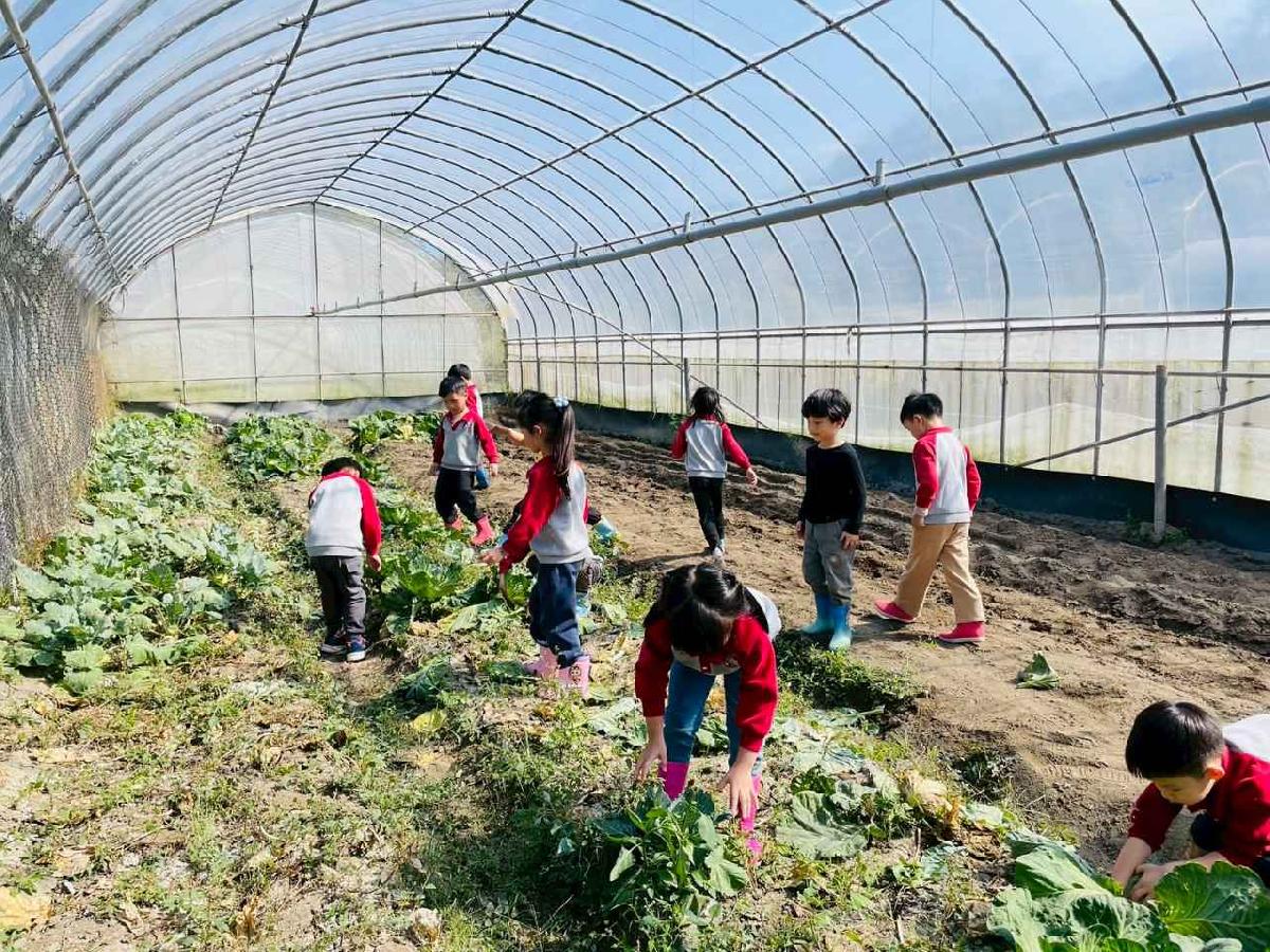 line_album_2026129 _1_260129_208