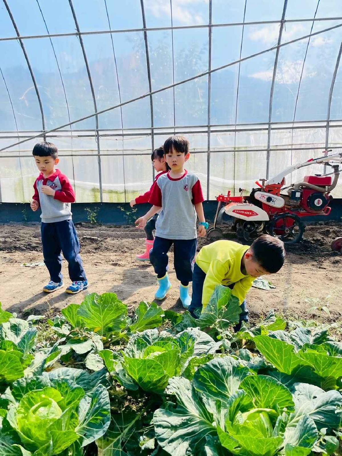 line_album_2026129 _1_260129_209