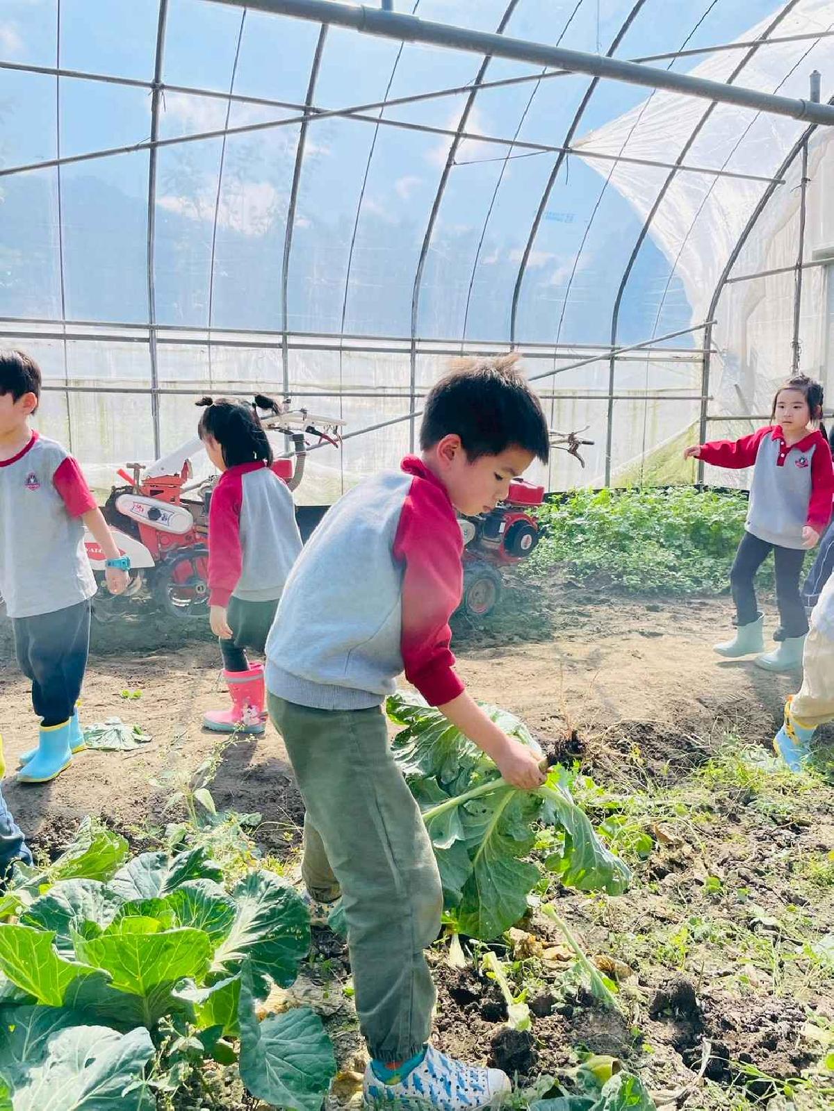 line_album_2026129 _1_260129_210