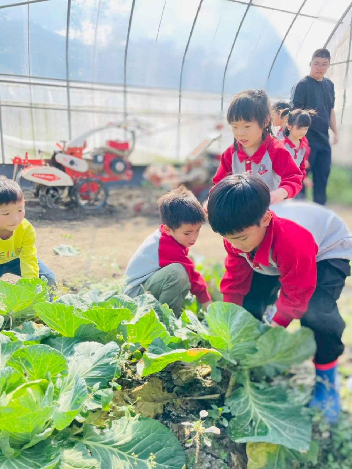 line_album_2026129 _1_260129_213