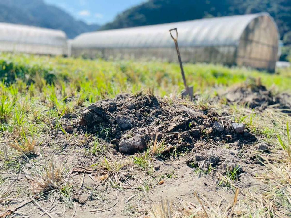 line_album_2026129_260129_18