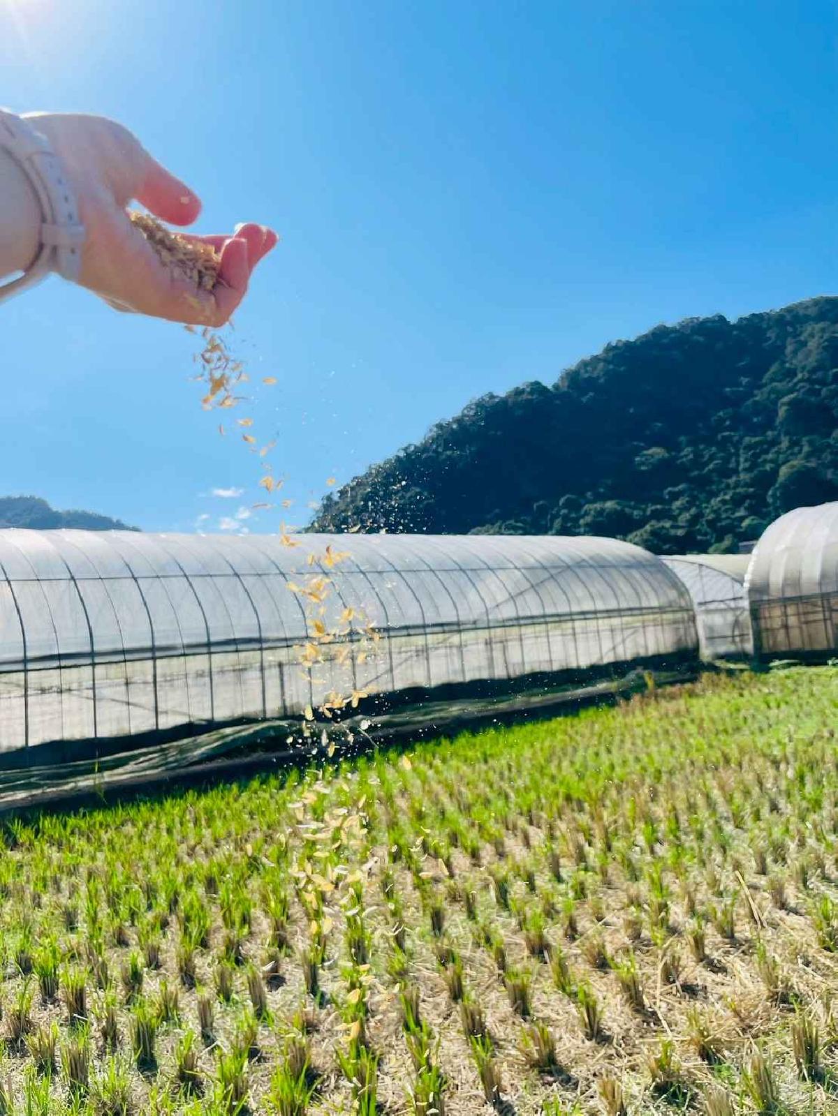 line_album_2026129_260129_45