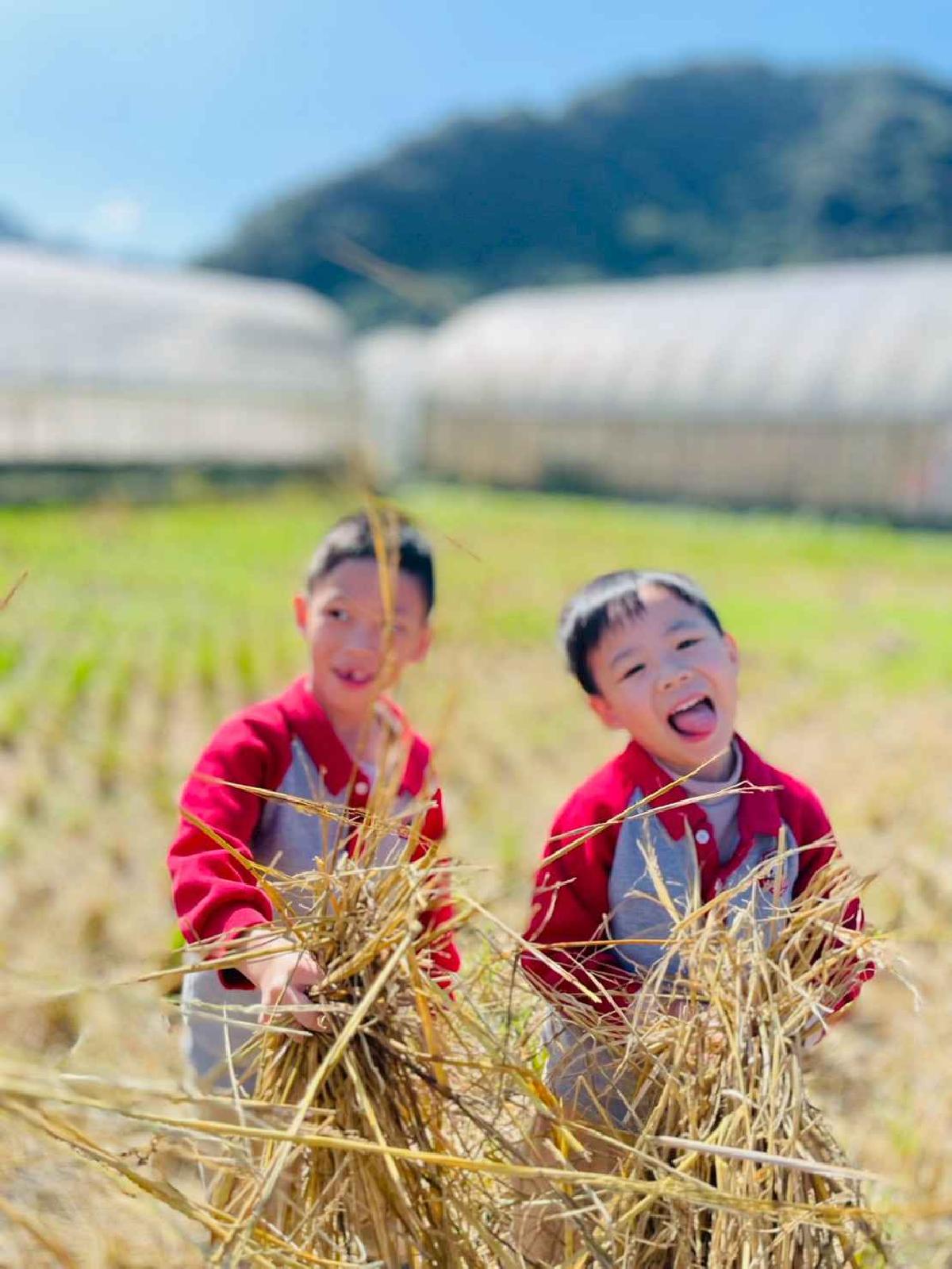 line_album_2026129_260129_52