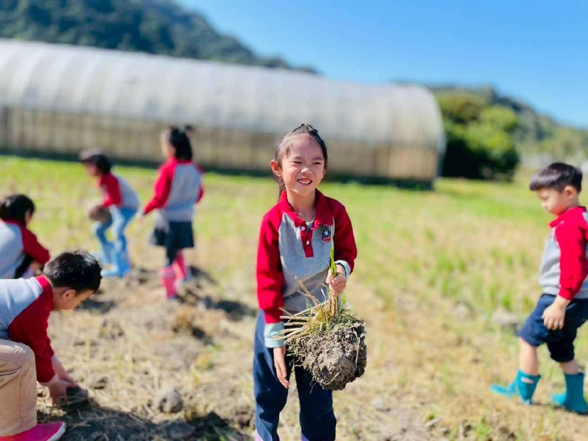 line_album_2026129_260129_65