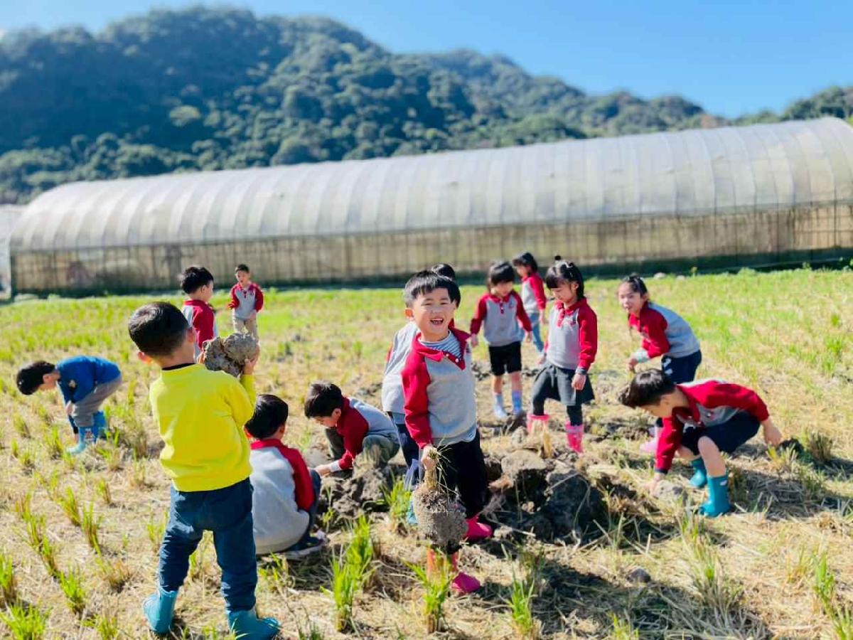 line_album_2026129_260129_68