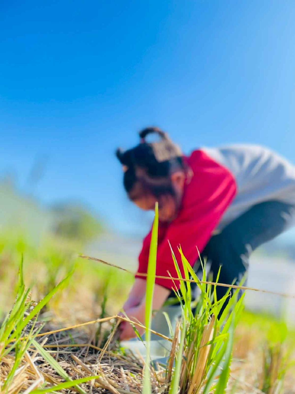 line_album_2026129_260129_77