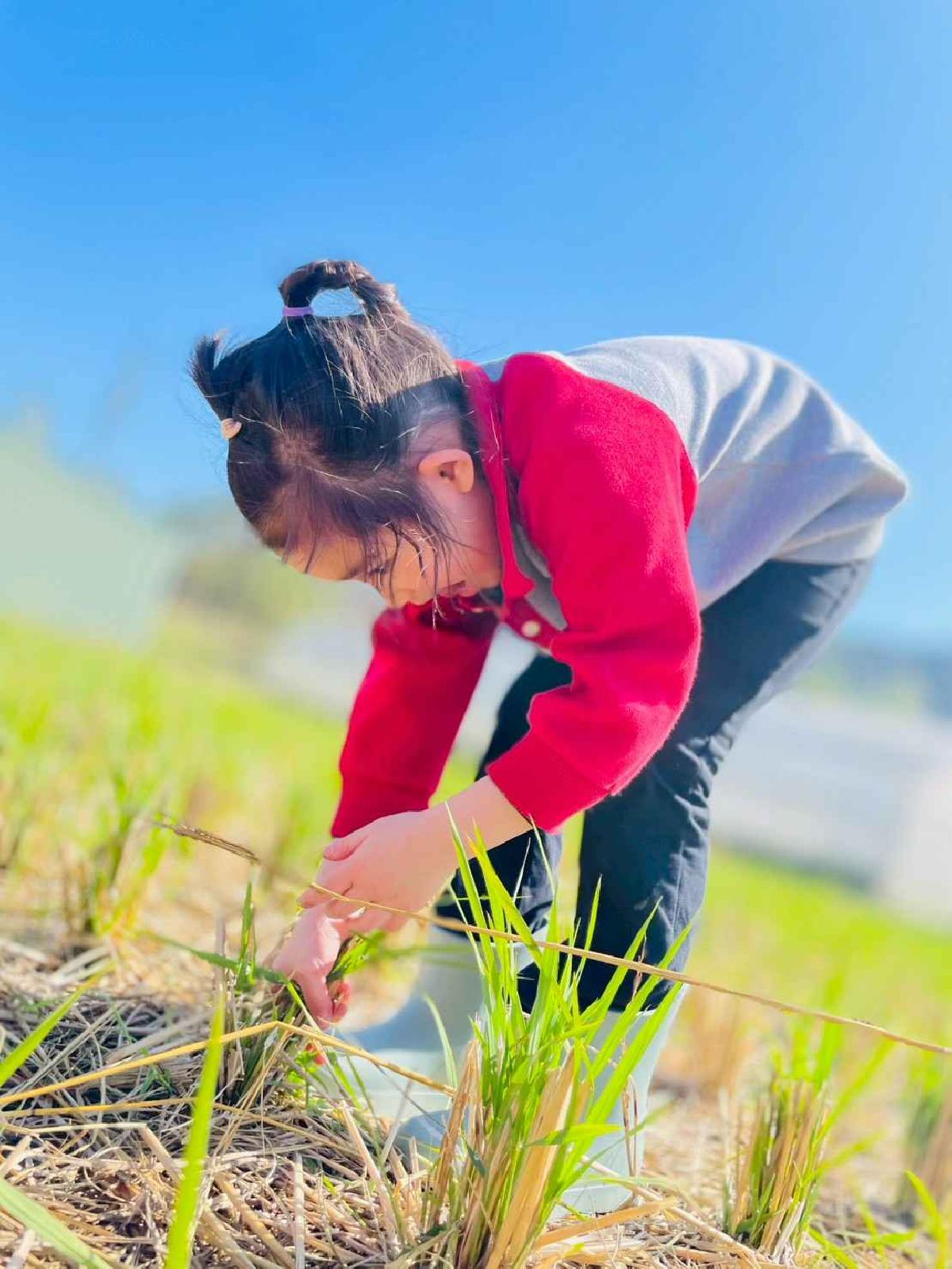 line_album_2026129_260129_79