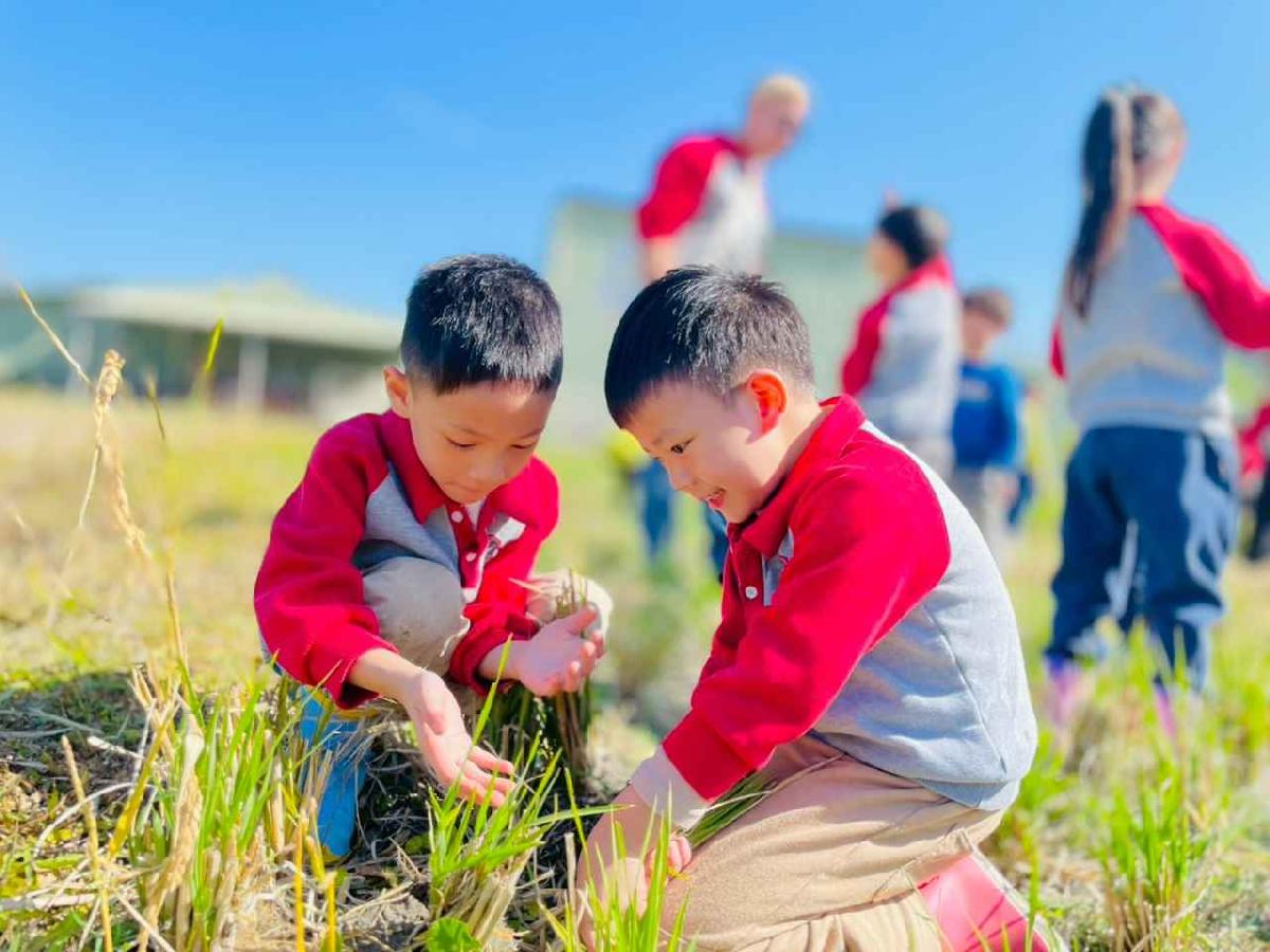 line_album_2026129_260129_142