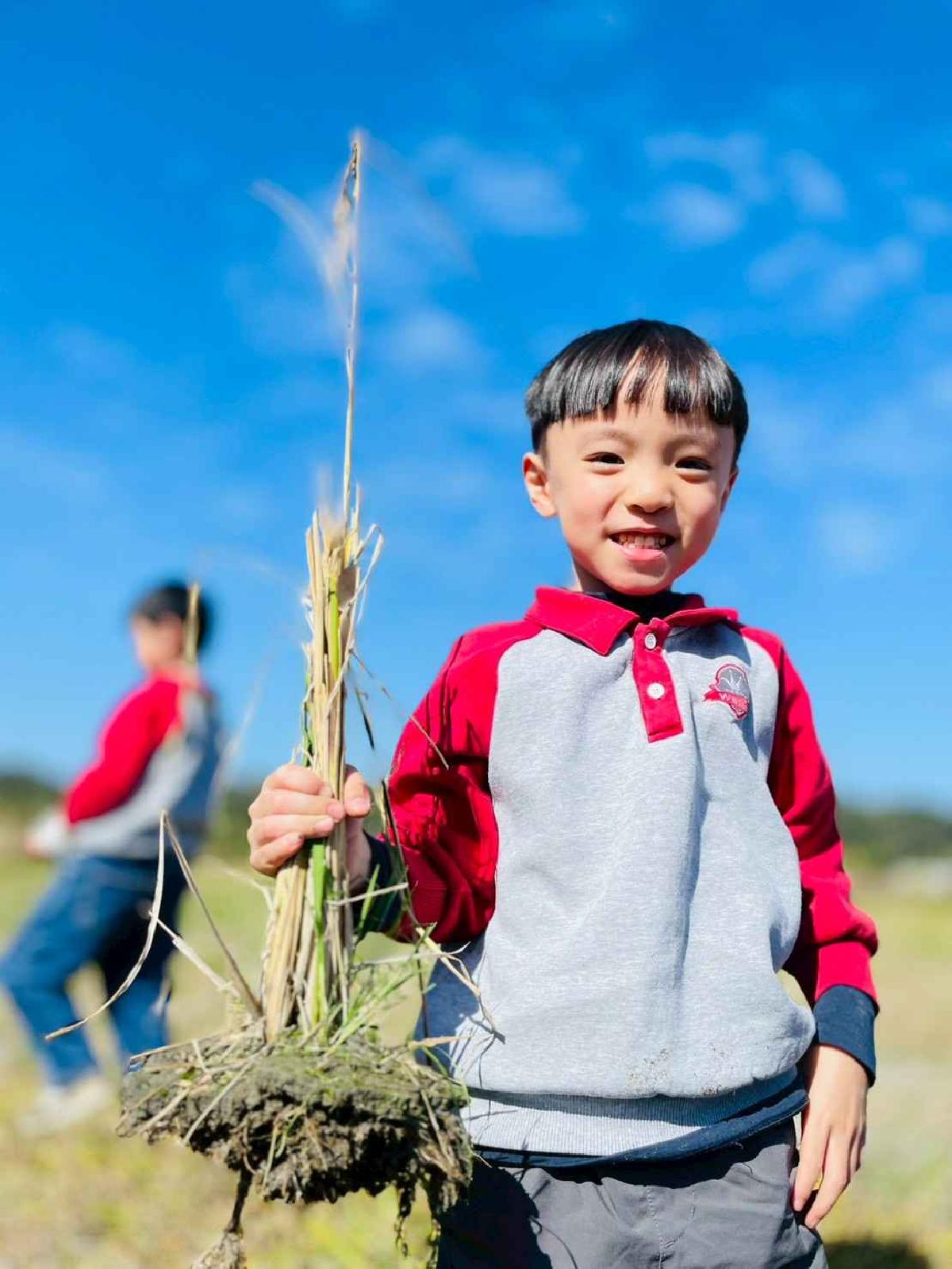 line_album_2026129_260129_147