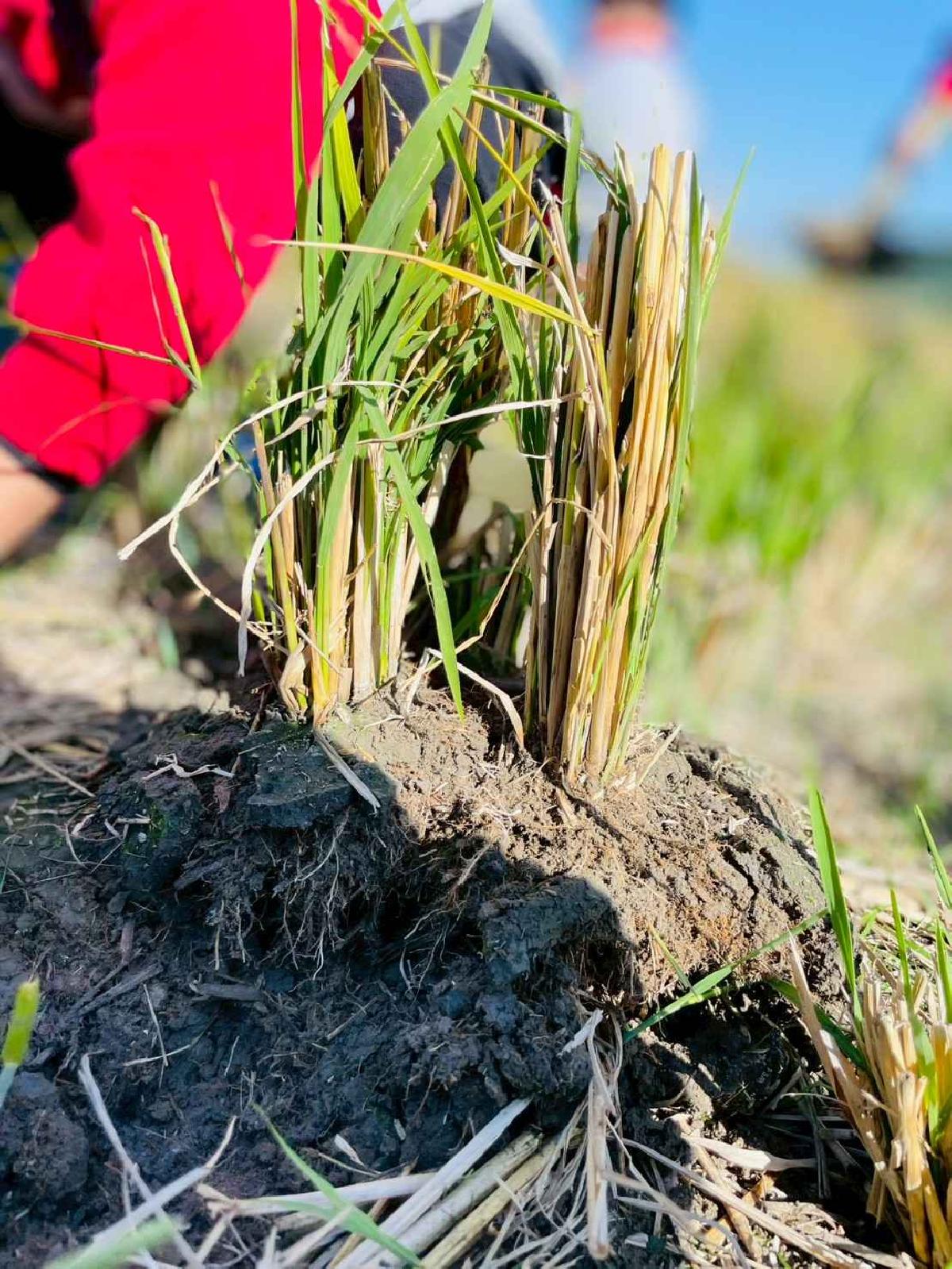 line_album_2026129_260129_157