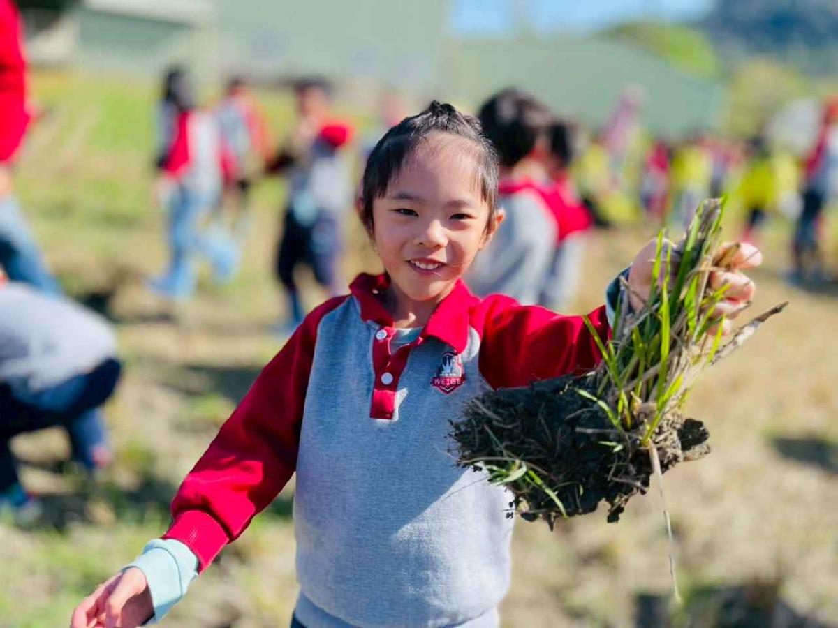 line_album_2026129_260129_159