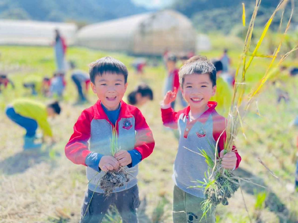 line_album_2026129_260129_161