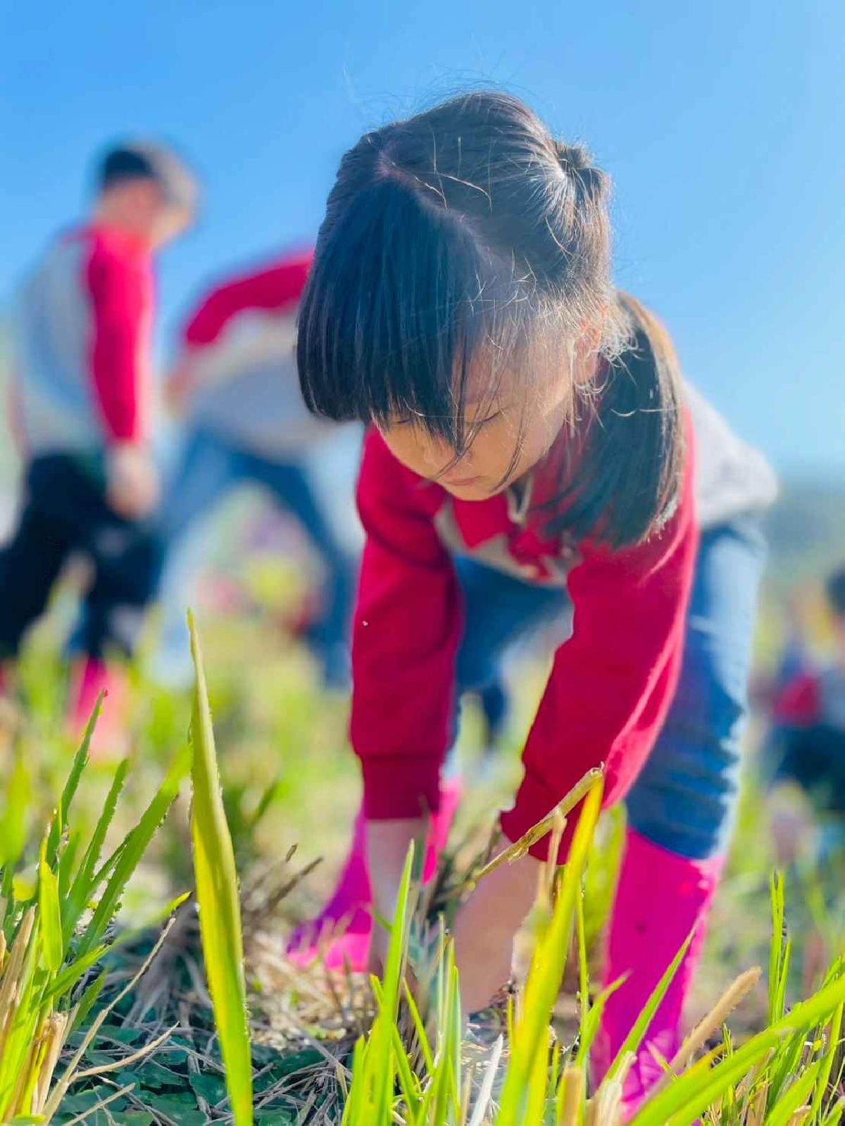 line_album_2026129_260129_176