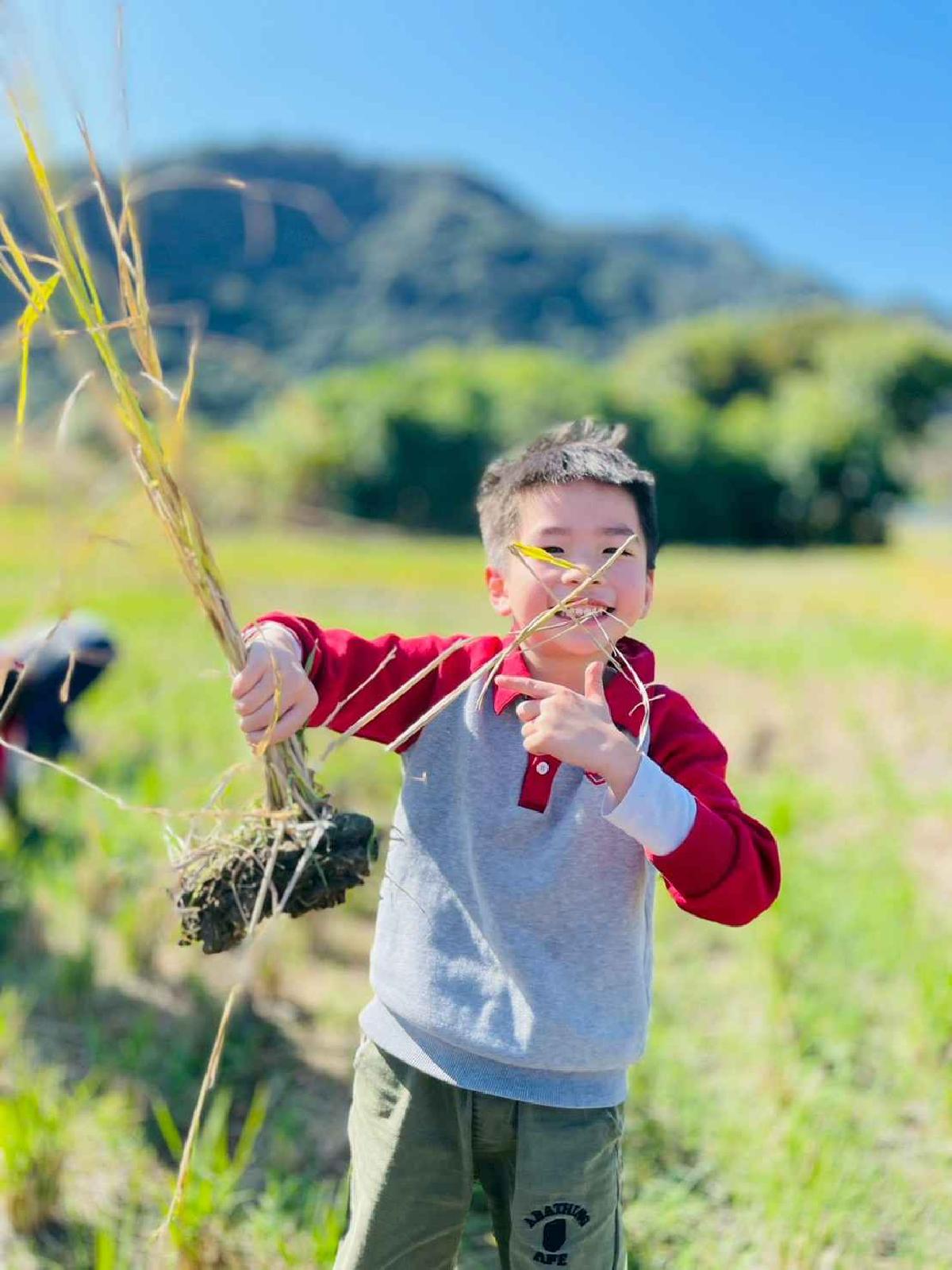 line_album_2026129_260129_185