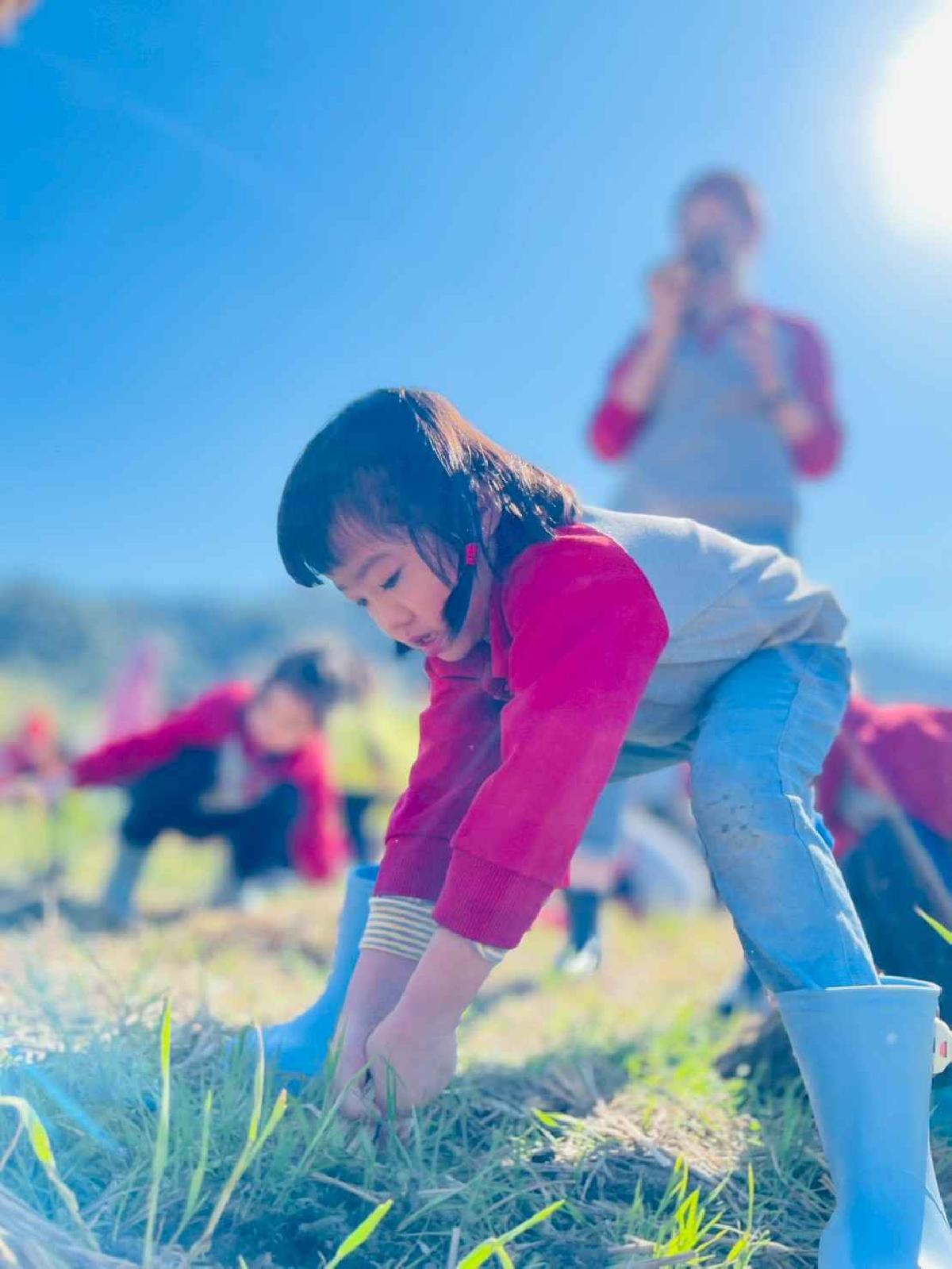 line_album_2026129_260129_194