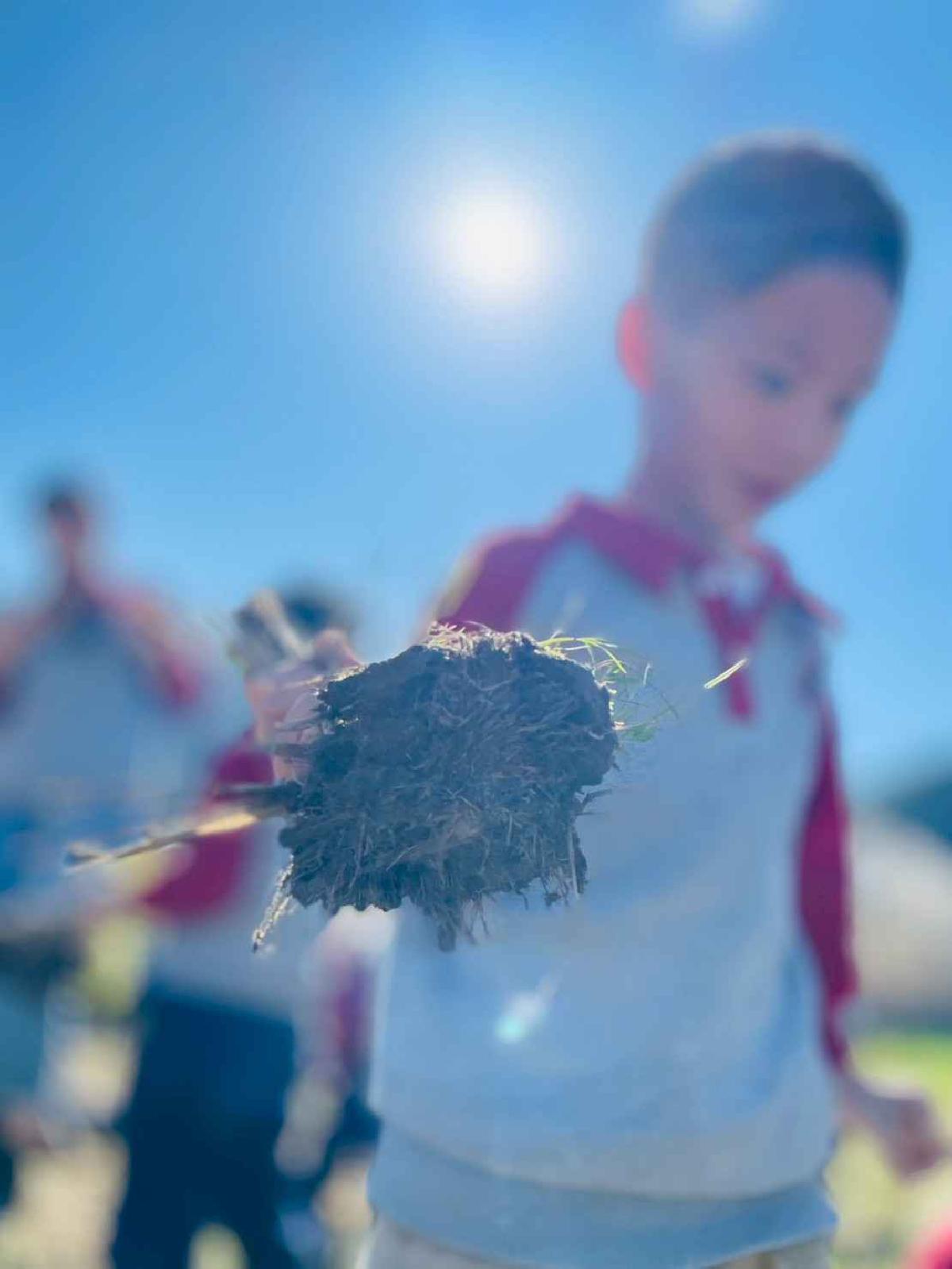 line_album_2026129_260129_198